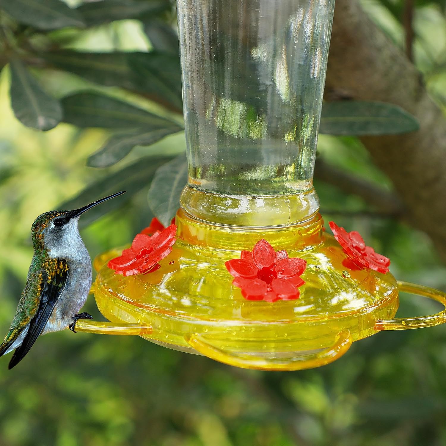 Shrdaepe Hummingbird Feeder, Glass Bottle Bird Feeders, 5 Feeding Port
