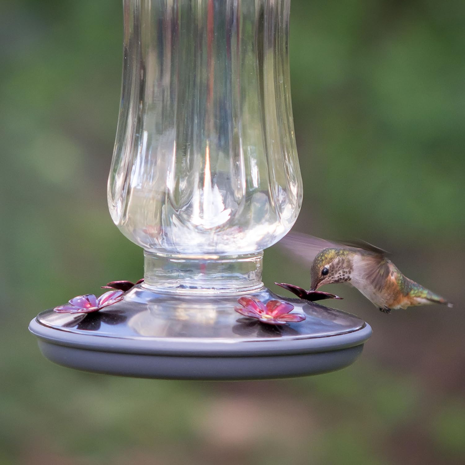 Perky-Pet Starglow Vintage Glass Hummingbird Feeder - 16 fl oz capacit