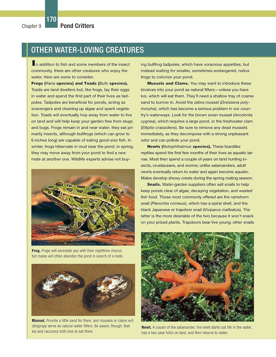 DIY Guide to Ponds, Fountains, Rain Gardens & Water Features, Revised 