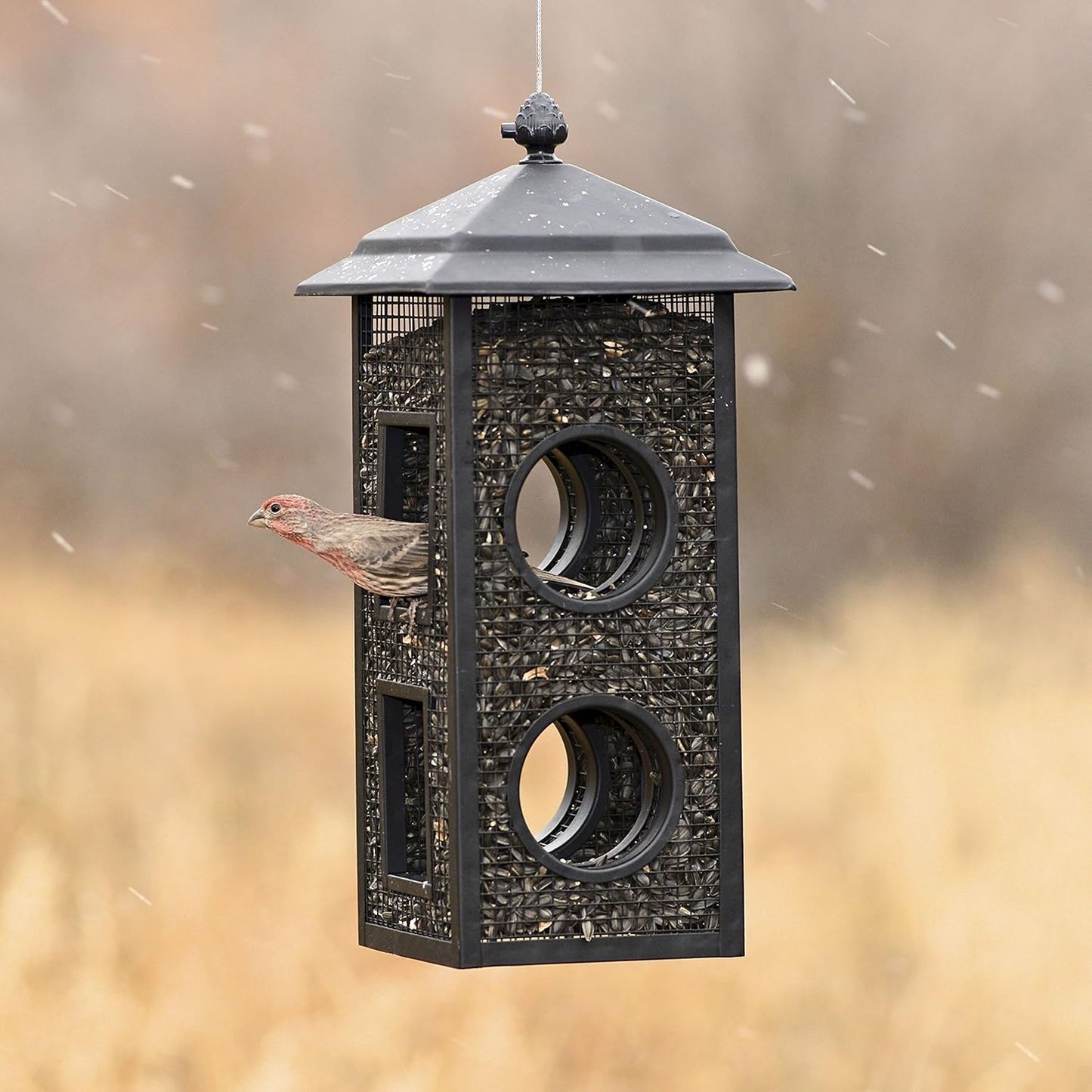 Perky-Pet Fly-Thru Wild Bird Feeder - 2 lb Capacity for Black-Oil Sunf