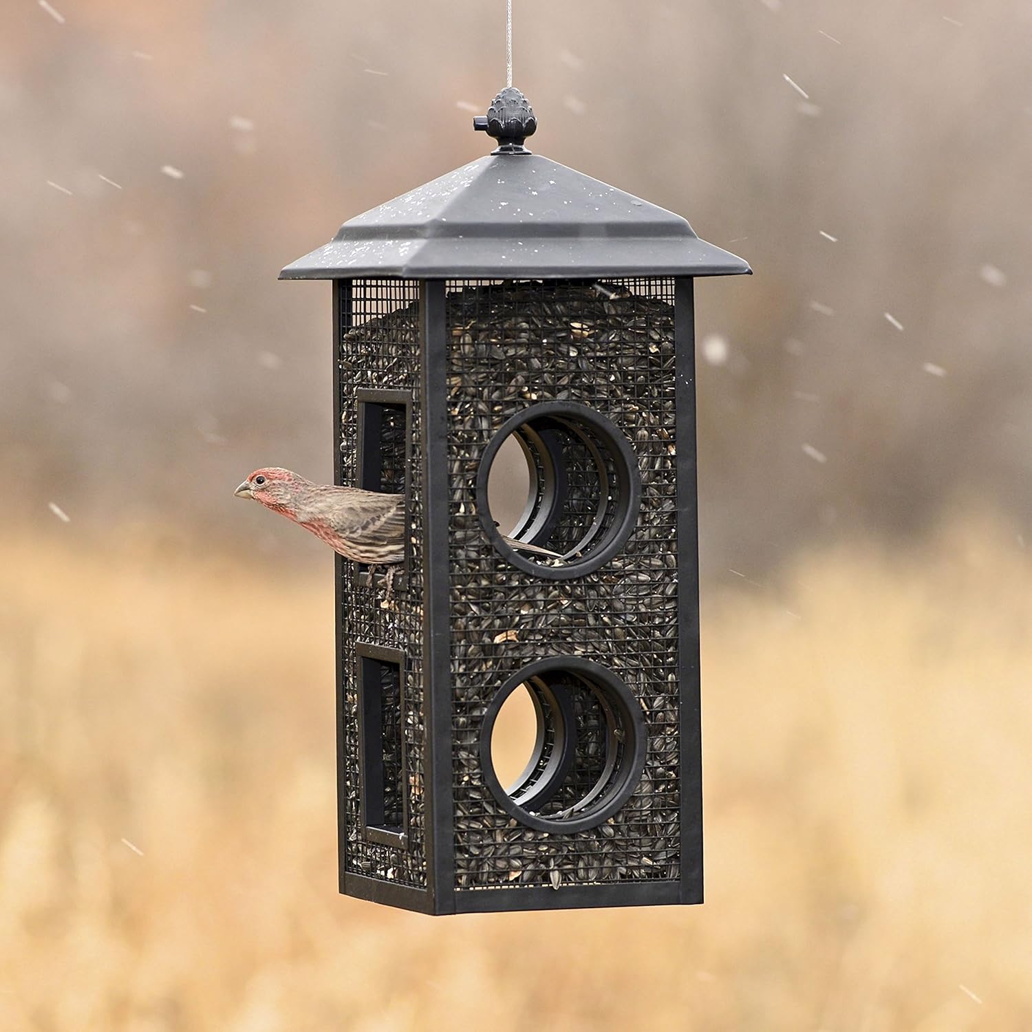 Perky-Pet Fly-Thru Wild Bird Feeder - 2 lb Capacity for Black-Oil Sunf