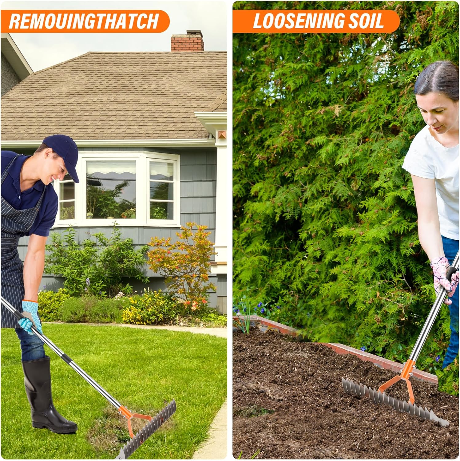 62" Adjustable Thatch Rake - 19-Tine Lawn Dethatcher with Nickel Steel