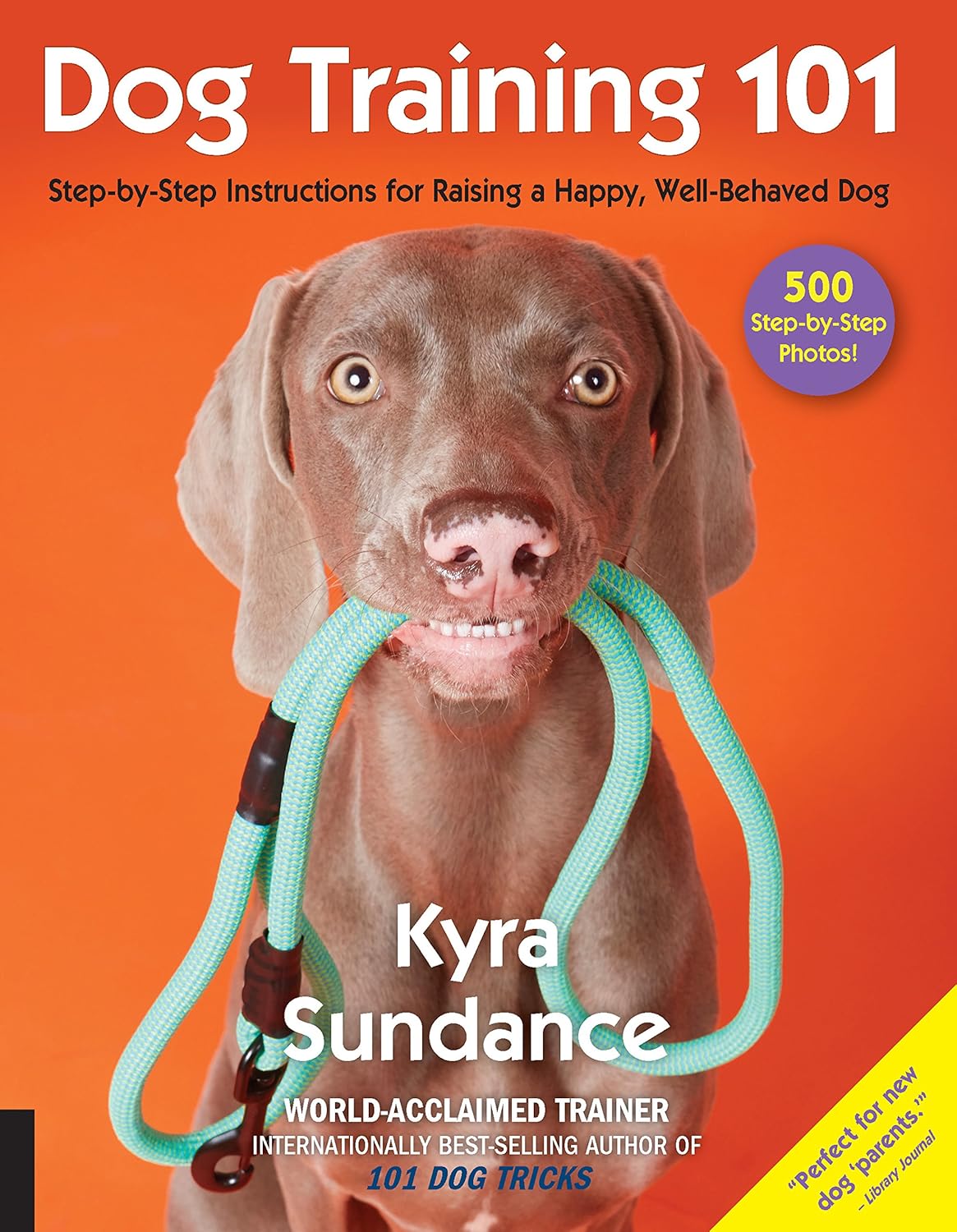Dog Training 101: Step-by-Step Instructions for raising a happy well-b
