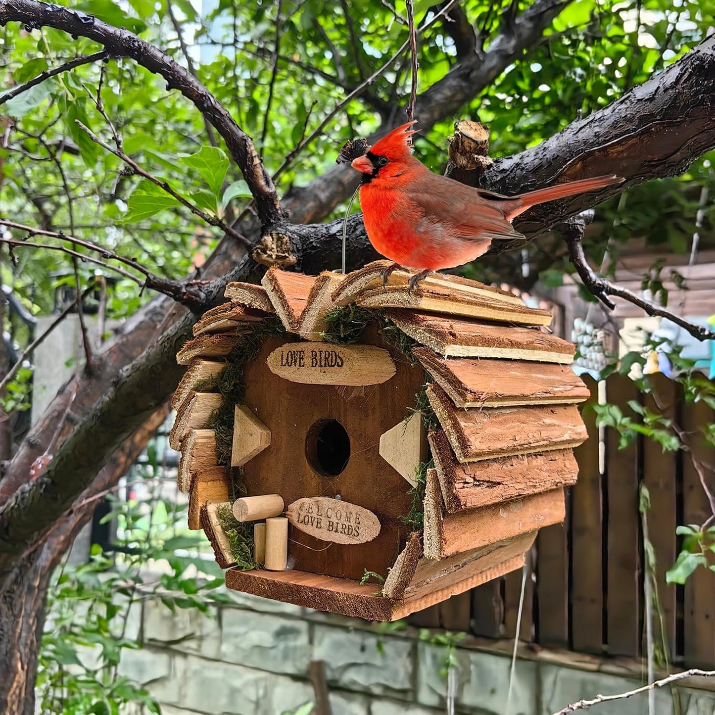 Cartanfill-Handmade Wooden Outdoor Birdhouse for Cardinals, Hanging Garden Birdhouse for Viewing, 7-Inch, Wild Bird Feeder, Ranch Patio Yard Tree Hanging (A)