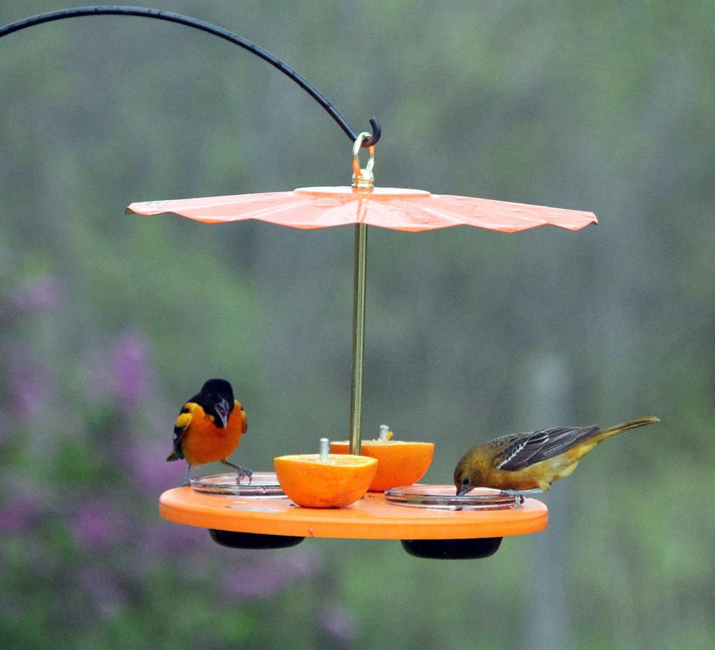 Kettle Moraine Super Oriole Recycled Orange Fruit, Jelly, Mealworm Bird Feeder w/Orange Roof