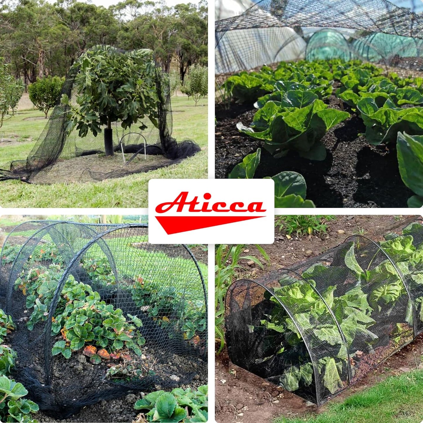 Heavy Duty Bird Netting for Garden Protection & Fruit Trees, 7.5x100 F