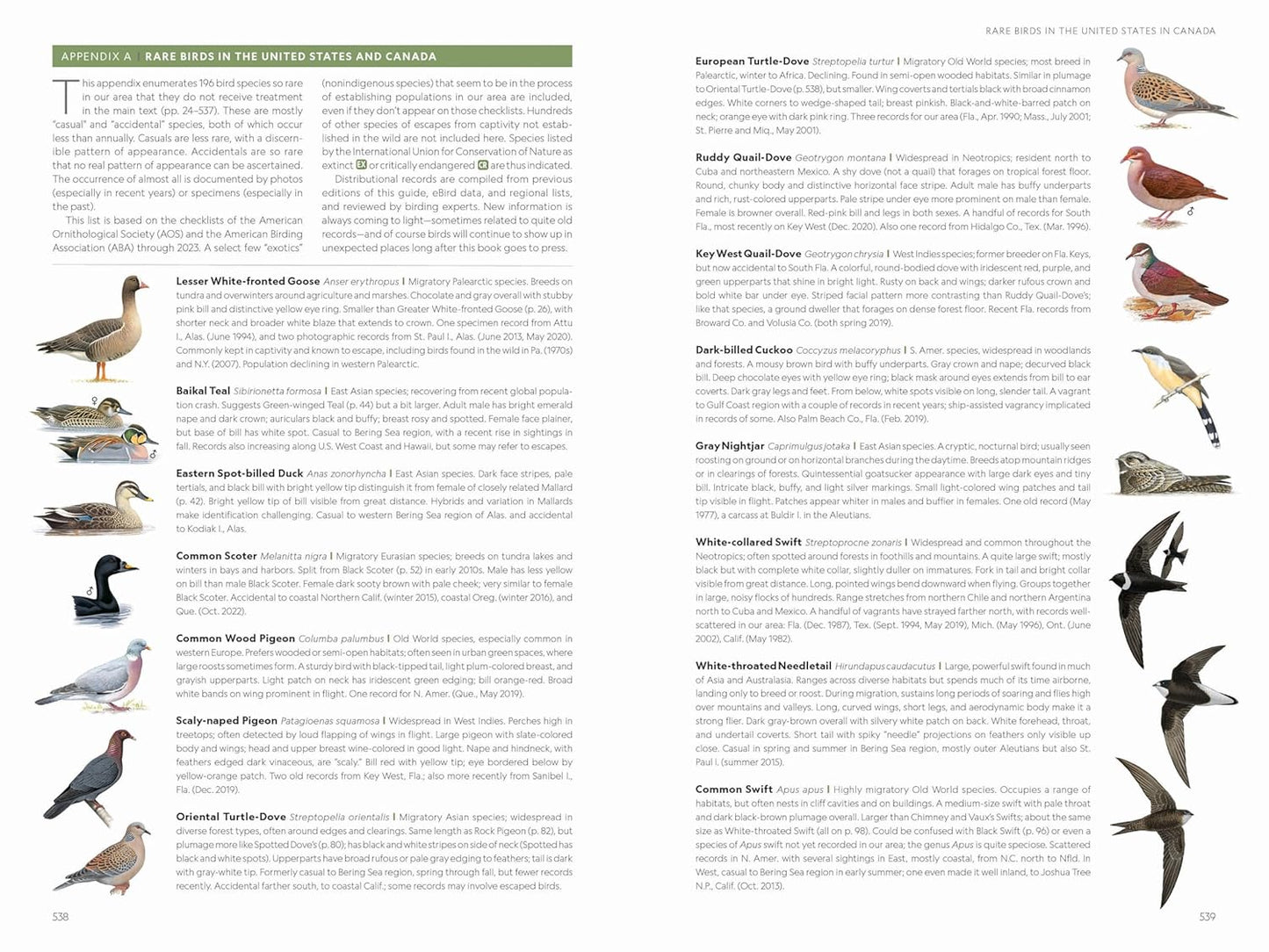 National Geographic Field Guide to the Birds of the United States and 