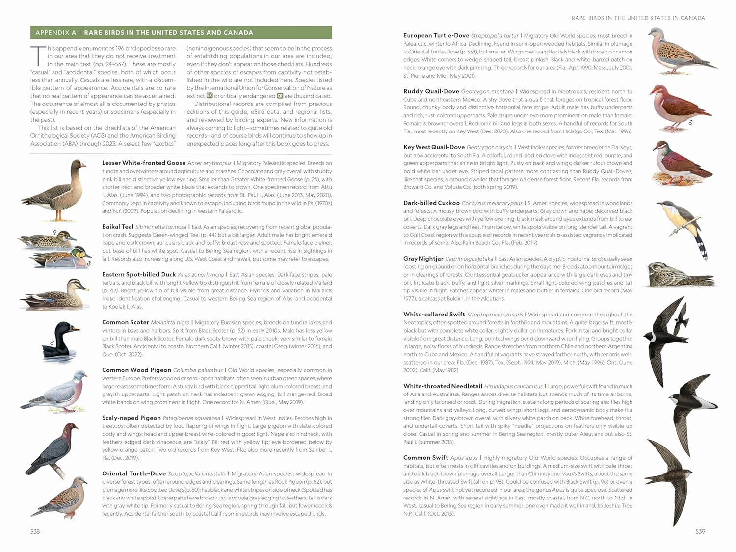 National Geographic Field Guide to the Birds of the United States and 