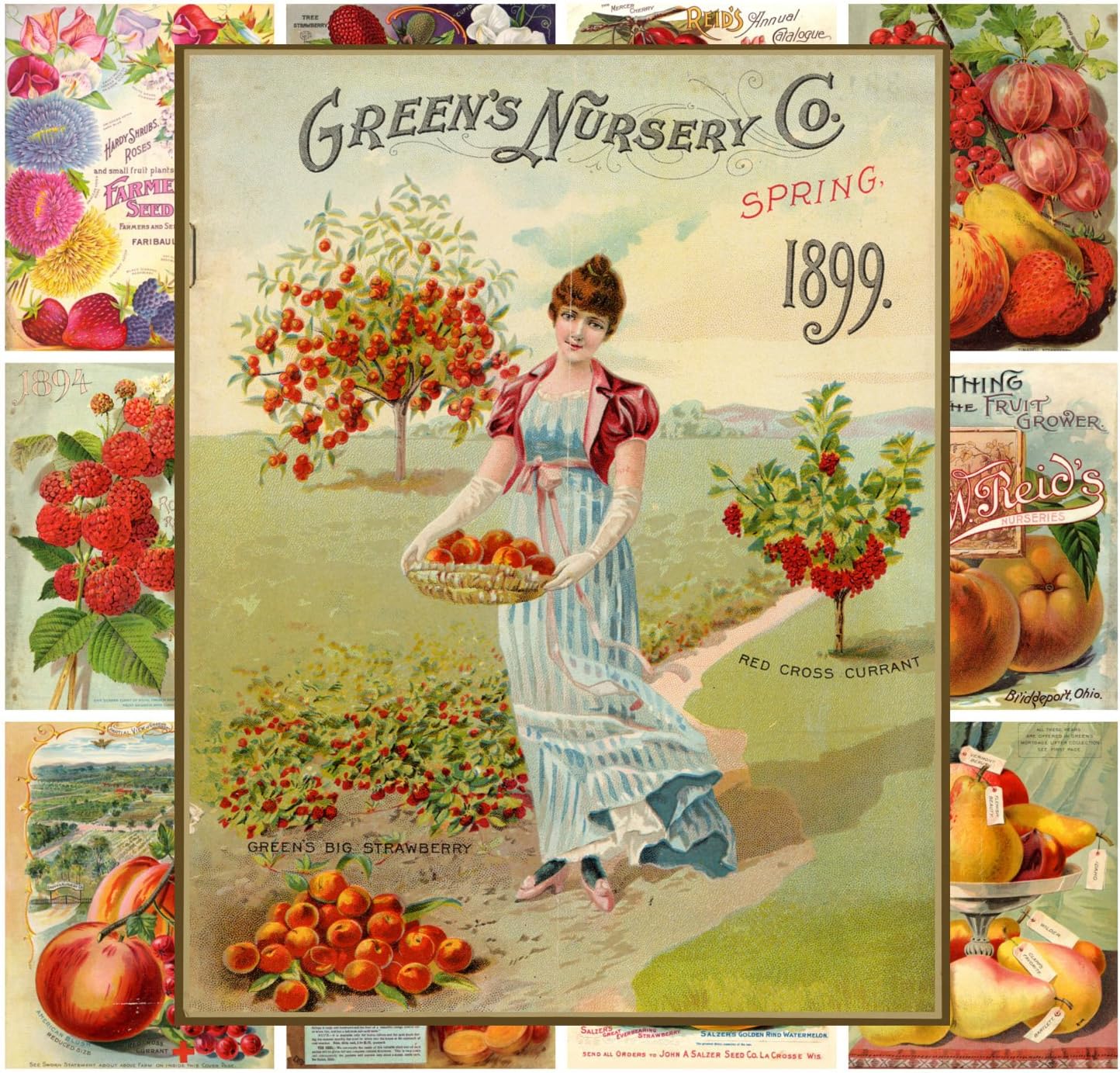 PIXILUV Mini Posters Pack [12 sheets 8"x11"] Fruits and Veges Garden Vintage Seed Pocket Poster