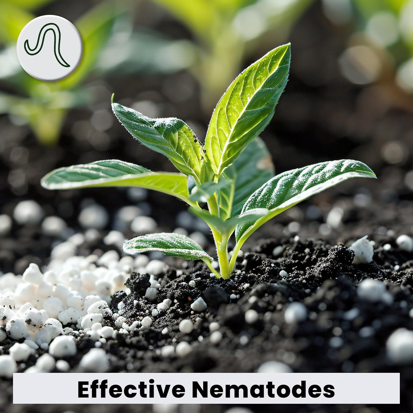 The Environmental Factor NemaKnights Slow-Release Nematodes - Biologic