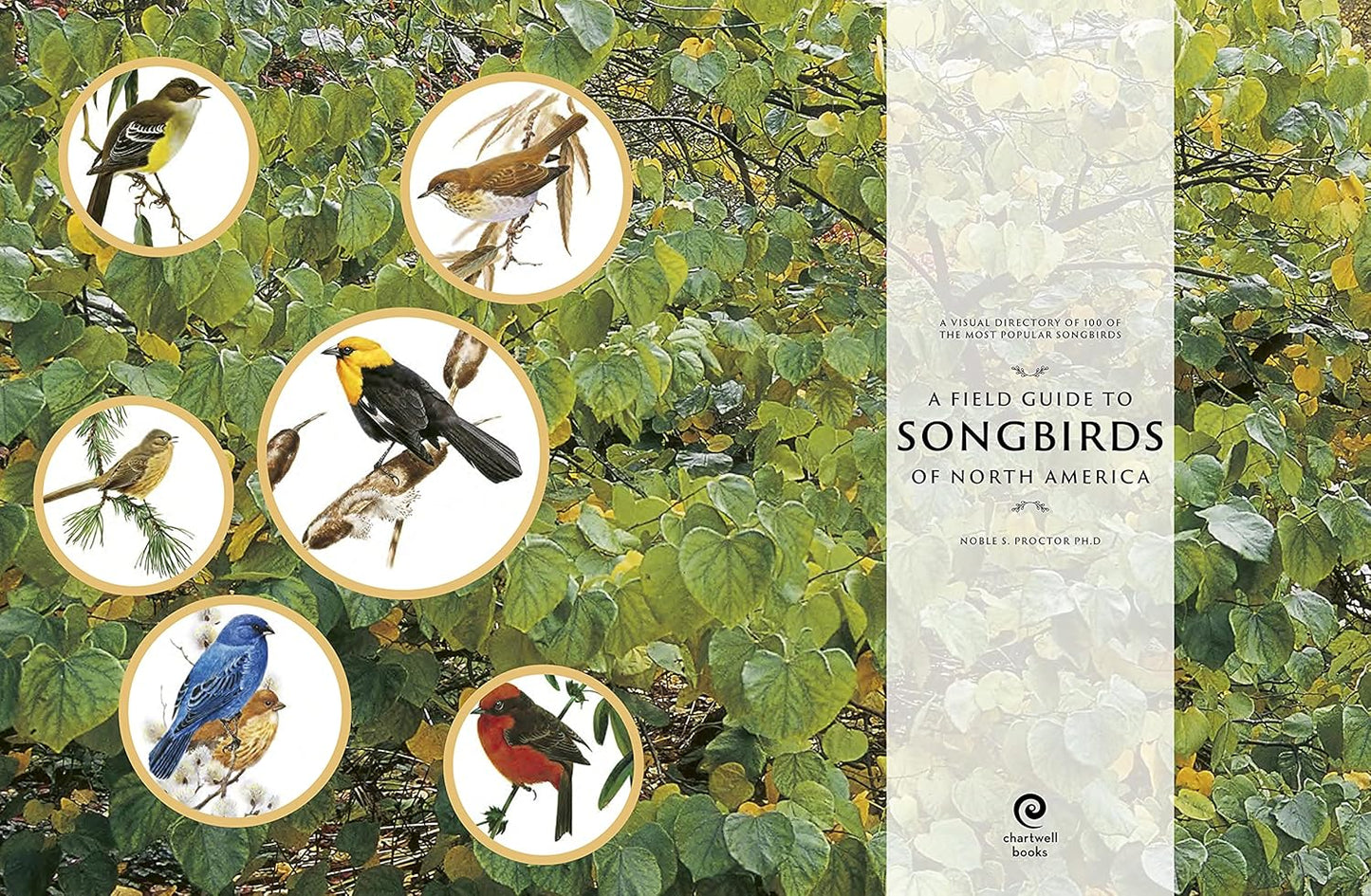 A Field Guide to Songbirds of North America: A Visual Directory of 100 of the Most Popular Songbirds