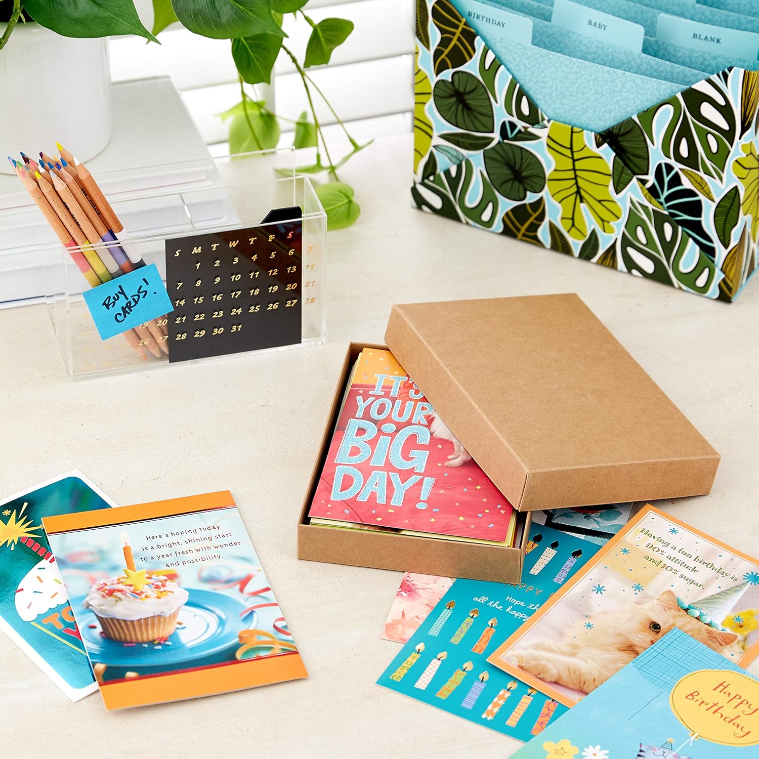 Hallmark Birthday Cards Assortment, 20 Cards with Envelopes (Refill Pa