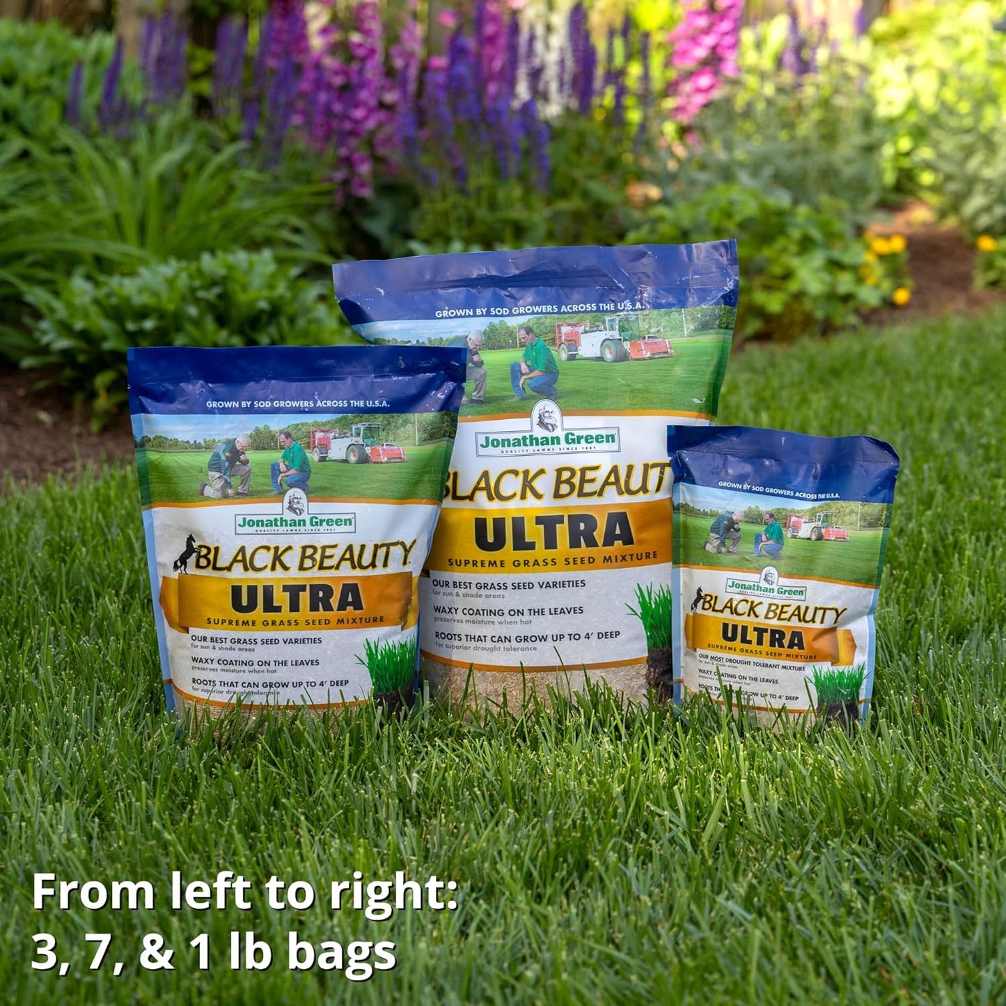 Jonathan Green (10322) Black Beauty Ultra Grass Seed - Cool Season Law