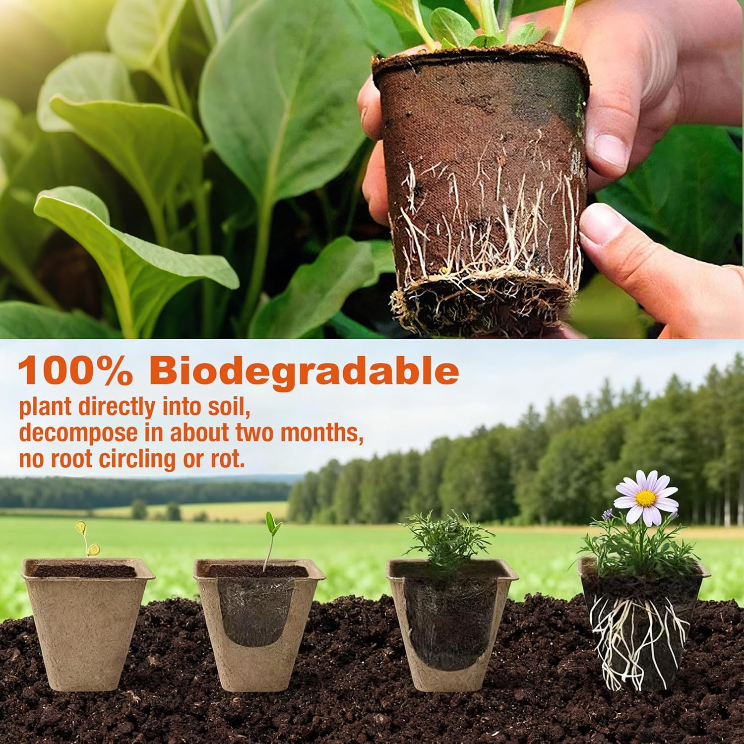 40 Pack Biodegradable Peat Pots with Drainage Holes – 3.15 Inch Organi
