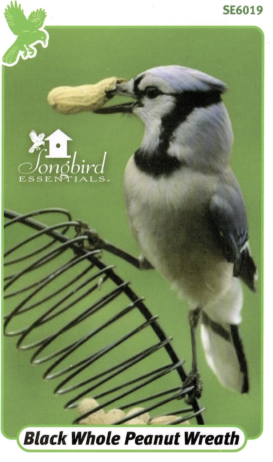 Songbird Essentials Whole Peanut Black Wreath Feeder for Squirrels and