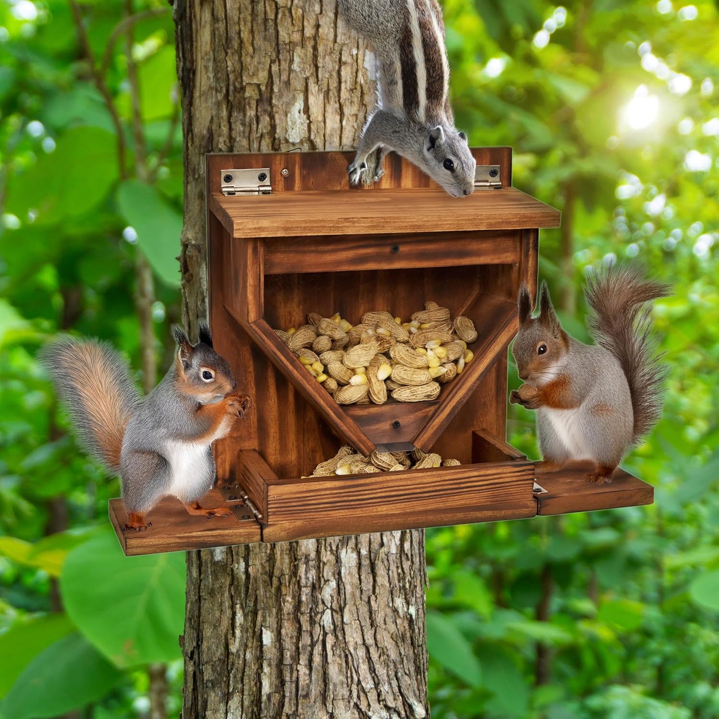 MIXUMON Wood Squirrel Feeder, Funnel Squirrel Feeders for Outside Winter, Wooden Chipmunk Feeder for Corn, Peanuts, Durable Box Easy to Fill with Removable Top Panel