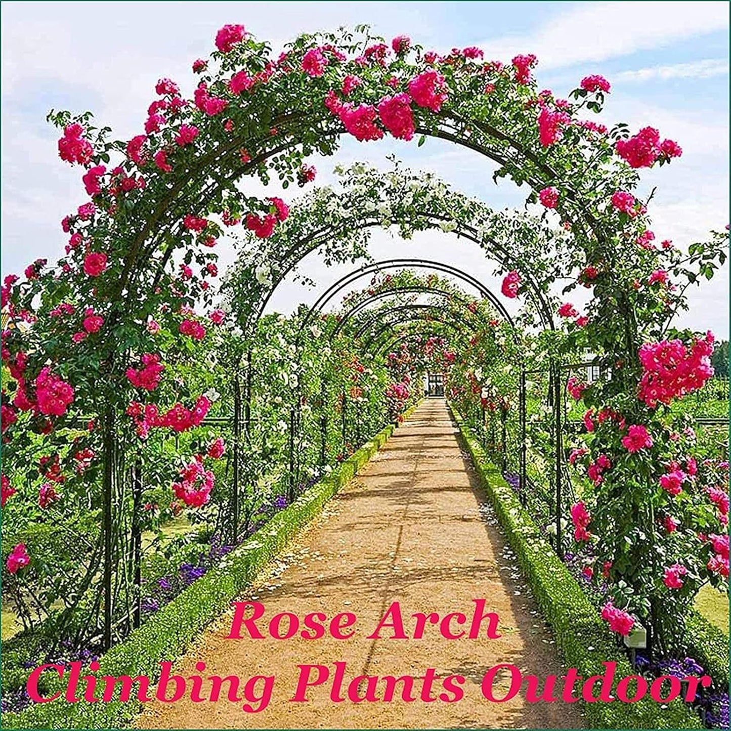 Heavy Duty Metal Garden Arch for Climbing Plants, Rose Arbor Flower Stand, Outdoor Wedding Decoration, Stable Black Archway, Size W3.0*H2.2m (118.1 * 86.6in)
