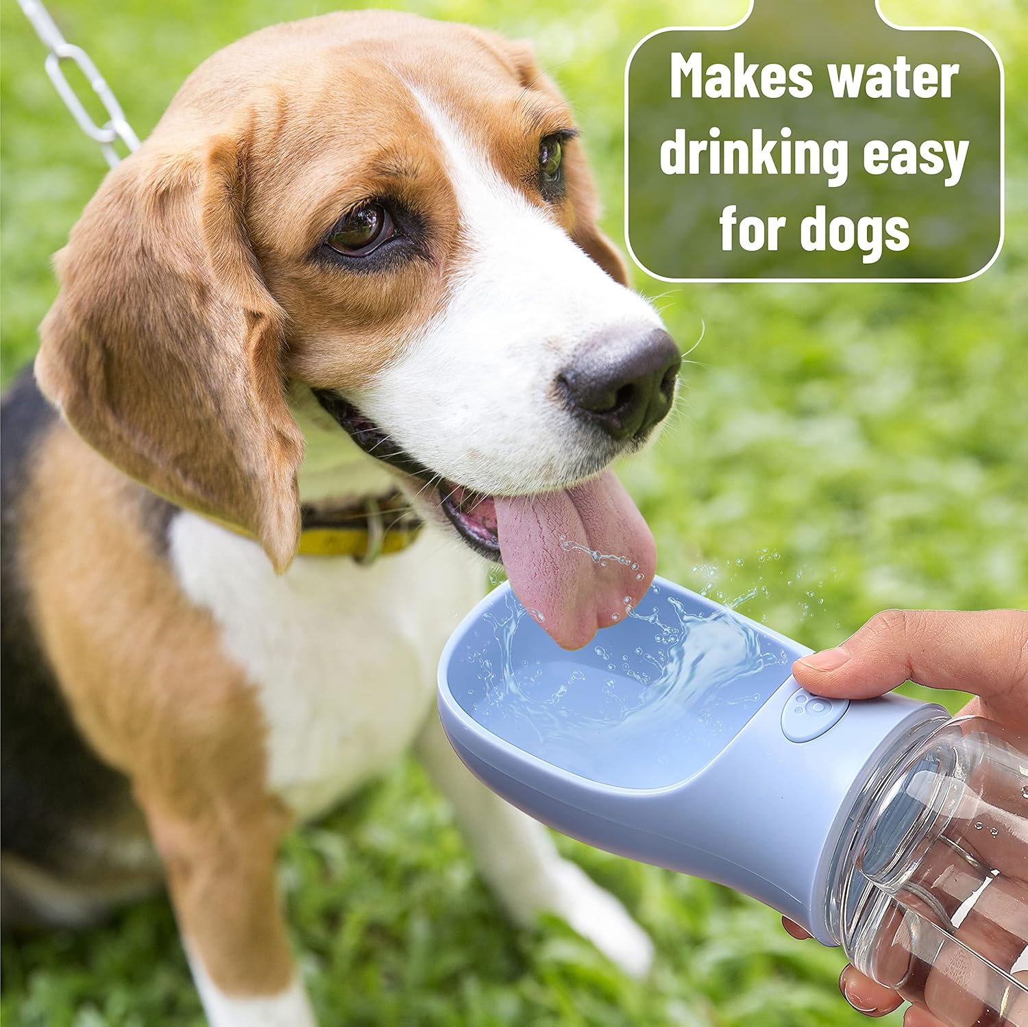 Mr. Pen Portable Dog Water Bottle - 19oz, Blue, Travel & Dispenser for