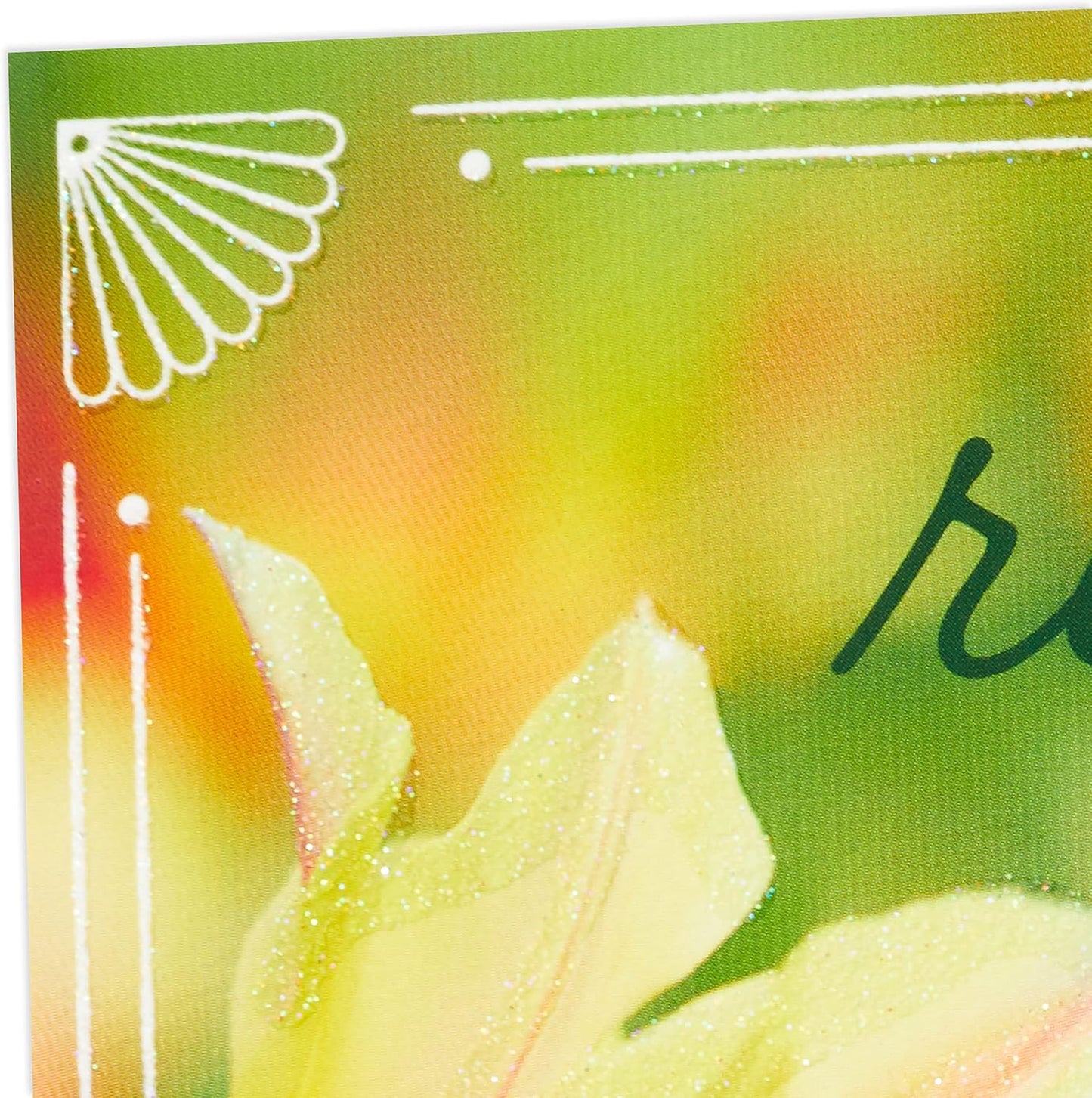 DaySpring Pack of Religious Easter Cards, He is Risen (10 Cards with Envelopes)