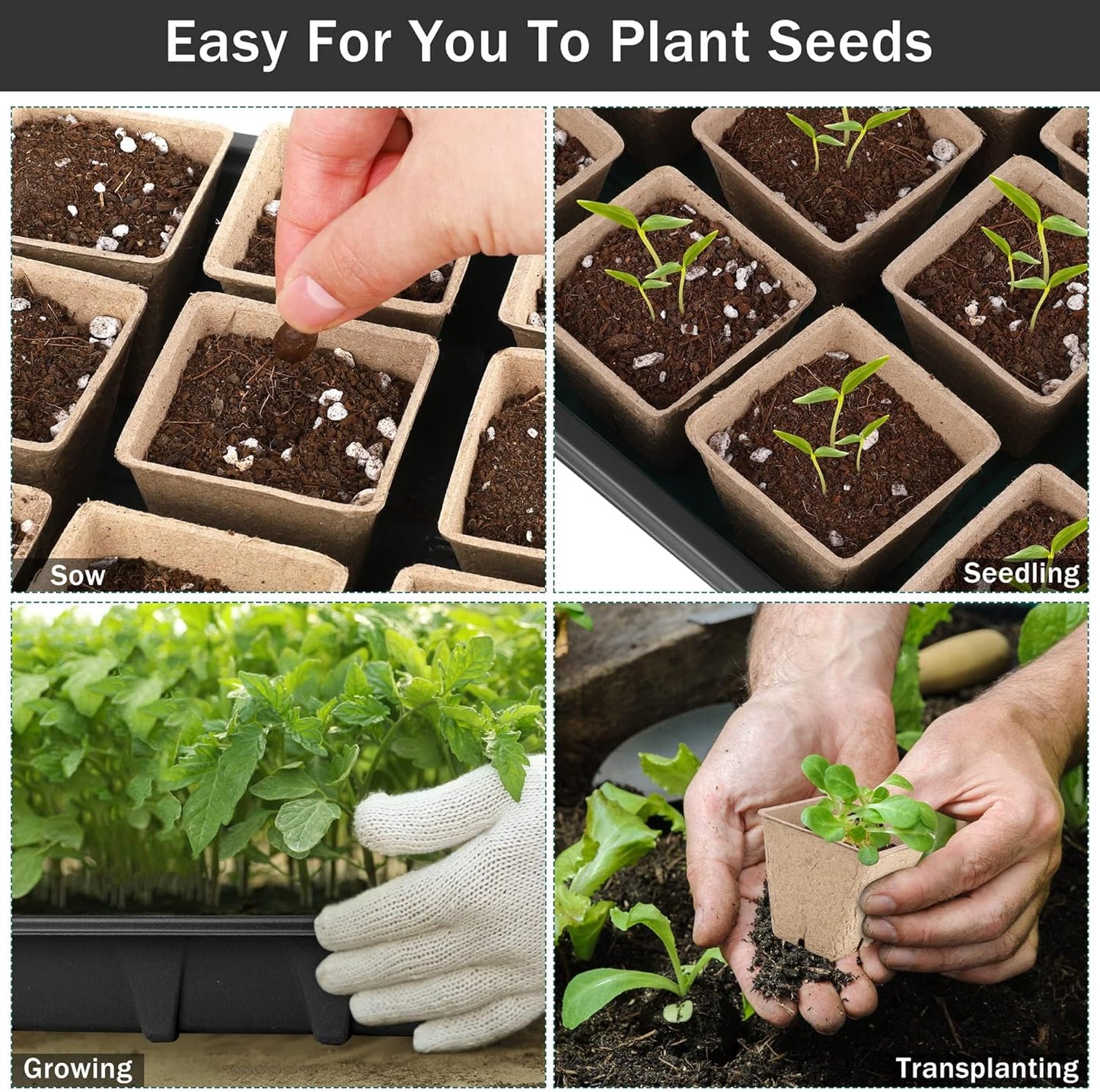 6 Pack Seed Starter Tray Kit with 120 Square Peat Pots for Seedlings, 