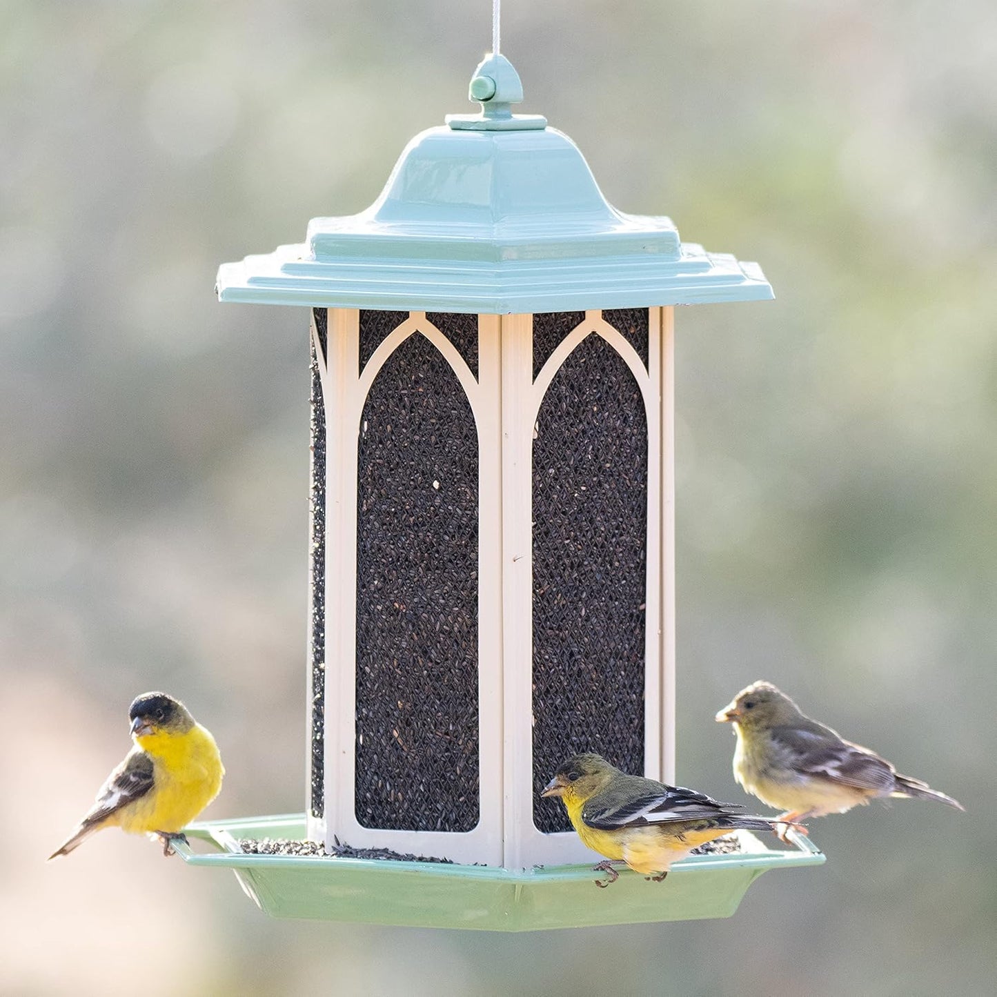 Perky-Pet Pistachio Gazebo Feeder - Wild Bird Feeder - GAZ01, Pistachio - Holds up to 3.5 lb Seeds - Easy to Fill, Easy to Clean, Rust Resistant Finish