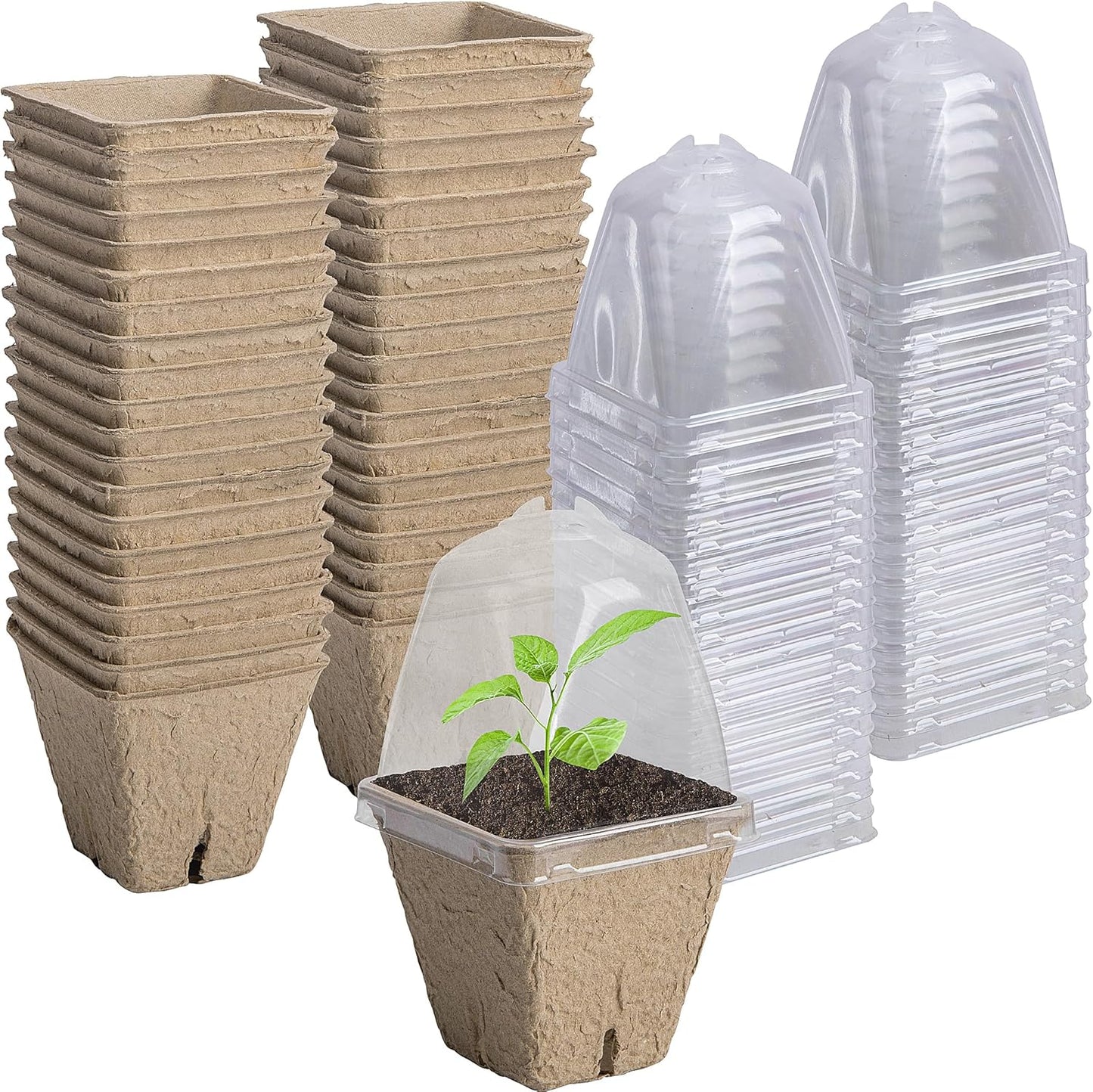 Purple Star 40 PCS Seeding Starter Pots for Planting- 2.3 Inch Square 