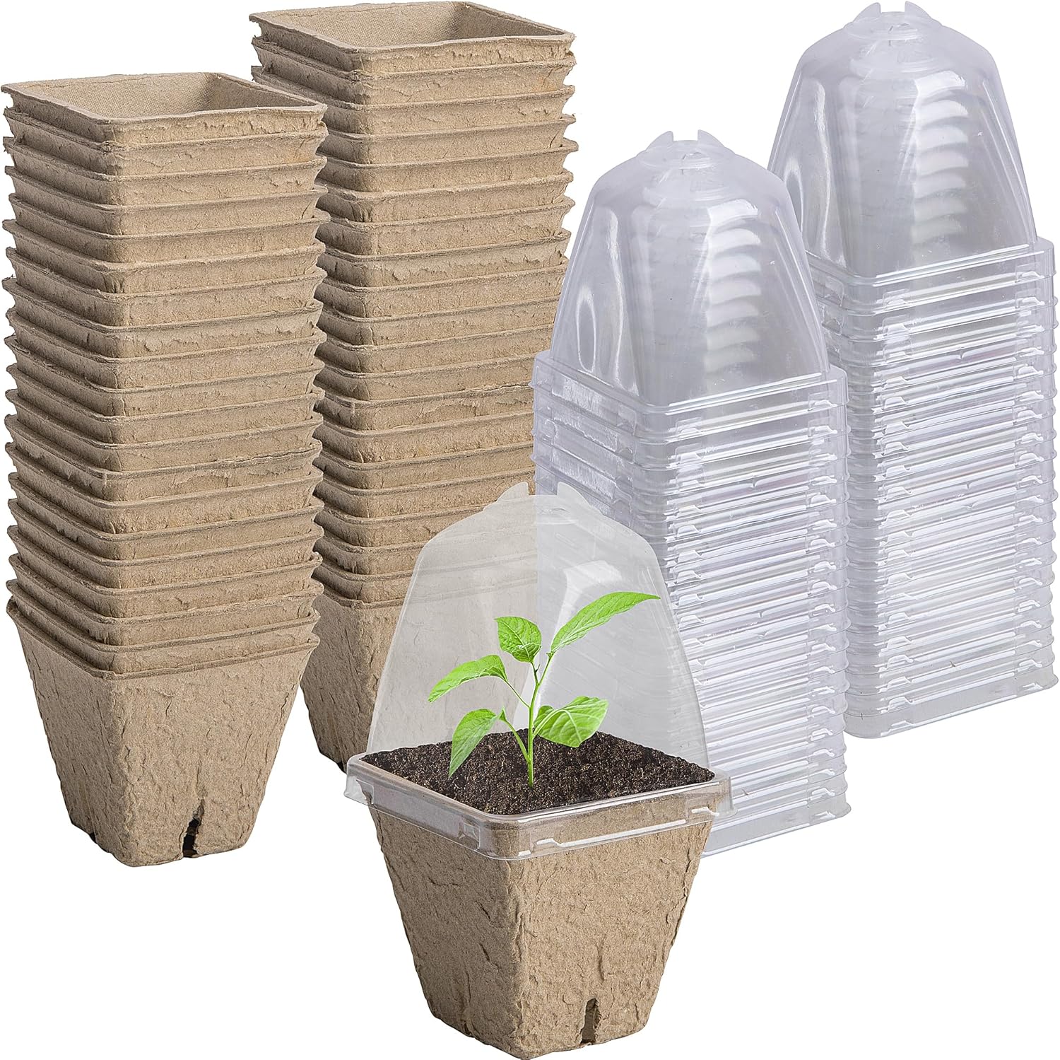 Purple Star 40 PCS Seeding Starter Pots for Planting- 2.3 Inch Square 