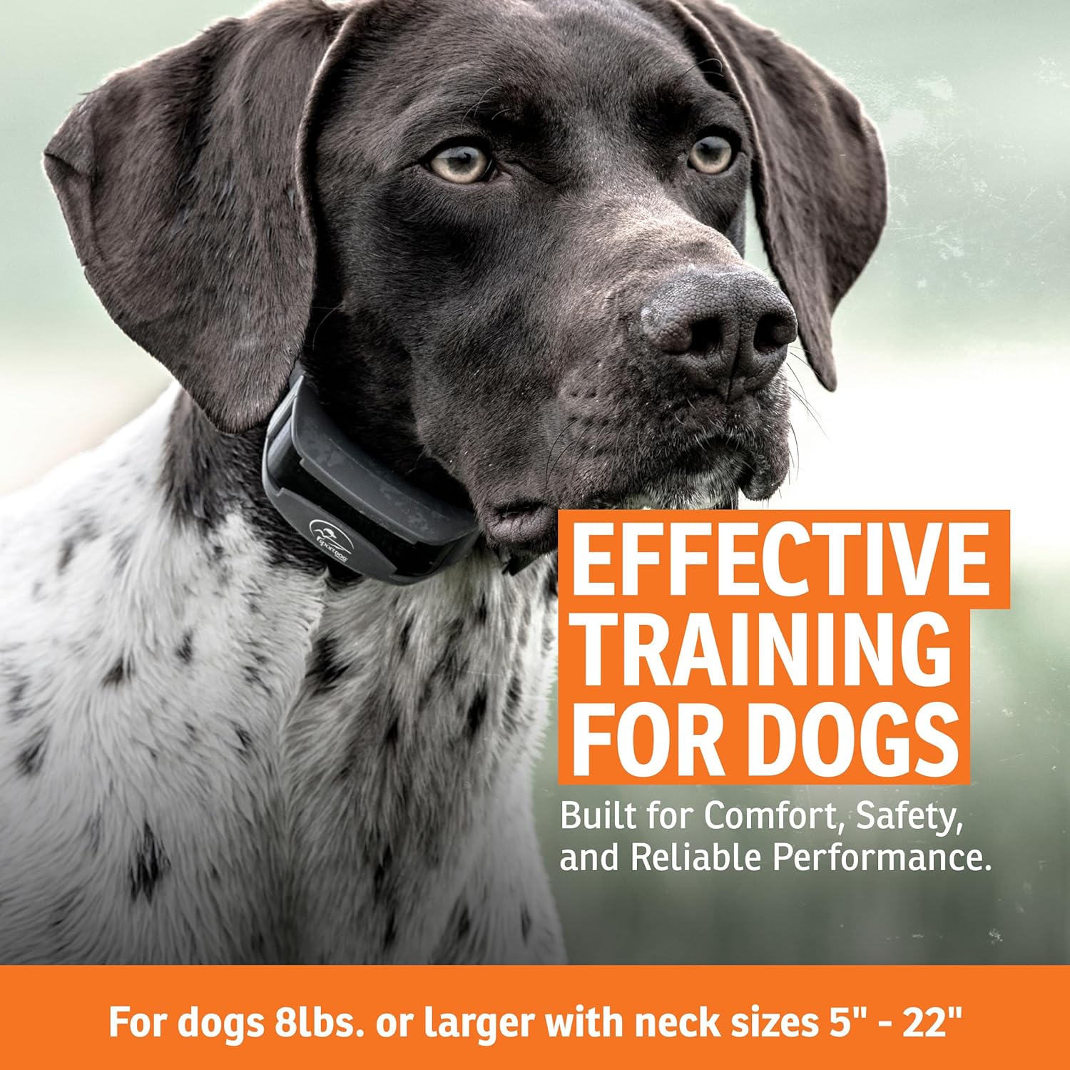 SportDOG SportHunter 825X - Remote Training Collar - Half-Mile Range T