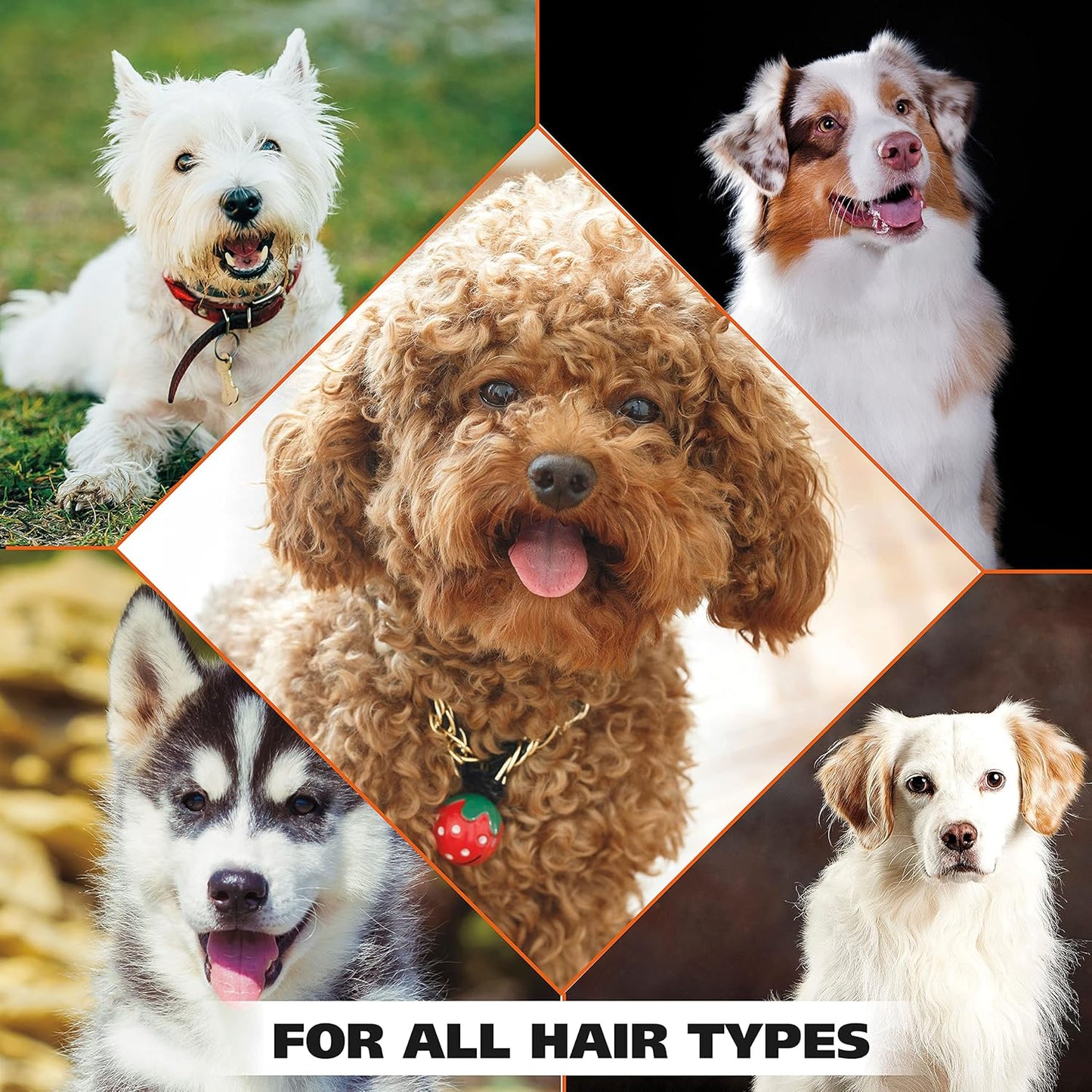 Wahl USA 4-in-1 Calming Pet Shampoo for Dogs with a Lavender Chamomile