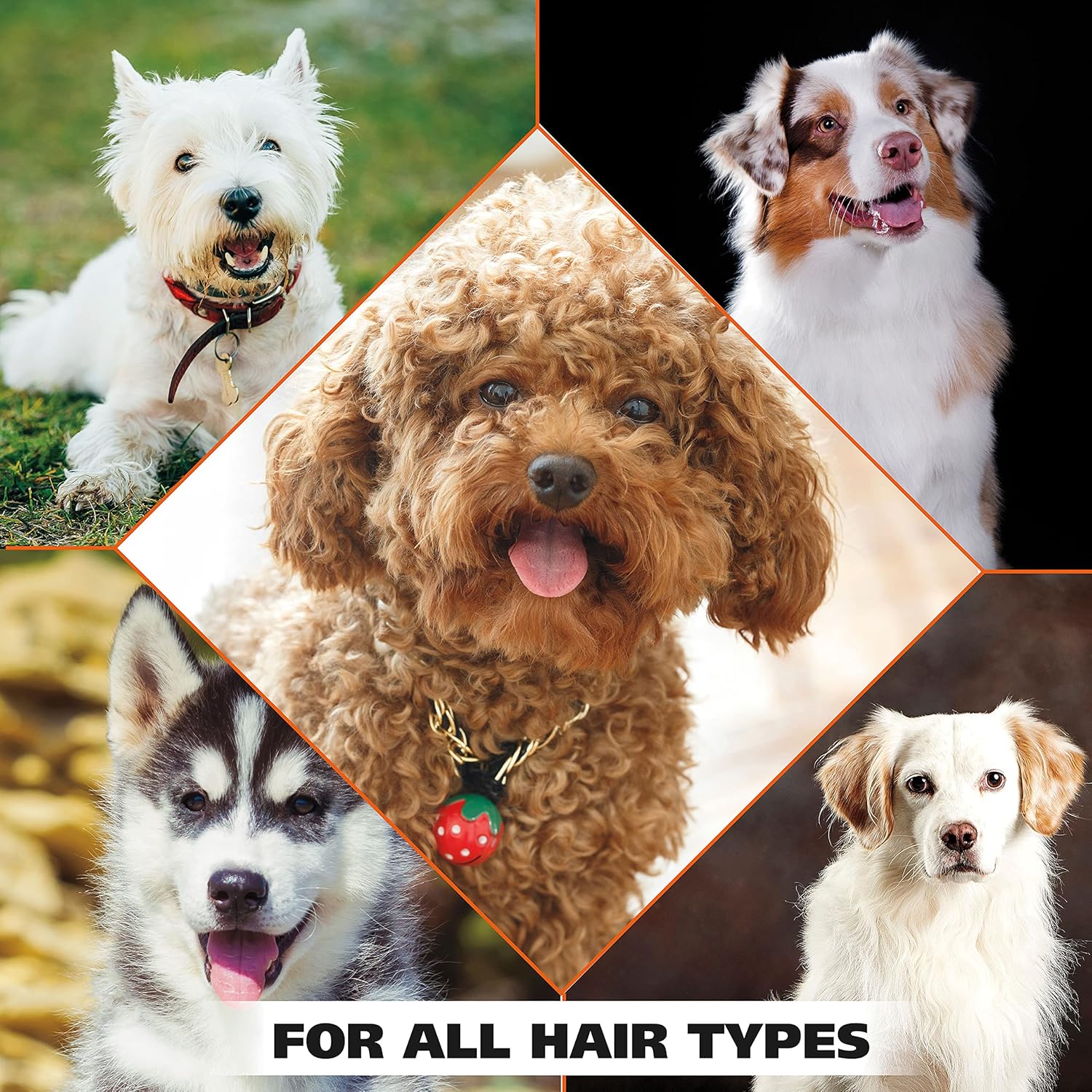 Wahl USA 4-in-1 Calming Pet Shampoo for Dogs with a Lavender Chamomile