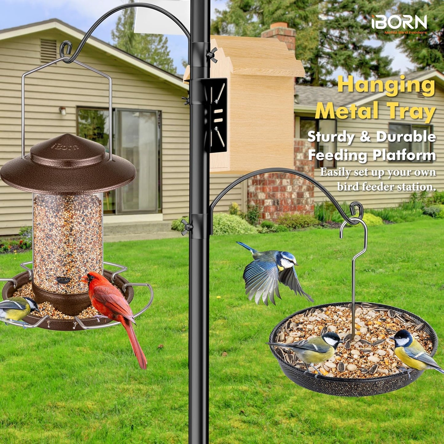 iBorn Hanging Bird Feeder Tray, Metal Mesh Bird Feeder Bowl with Thick Metal Hanger, Sturdy & Durable for Outdoors, Easy to Refill & Clean, Pack of 1, Black