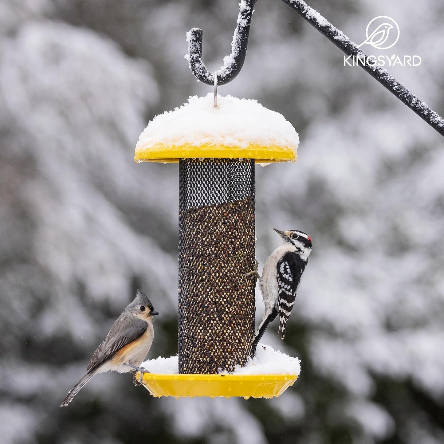 Kingsyard Finch Feeders for Outdoors Hanging, Metal Mesh Tube Bird Fee