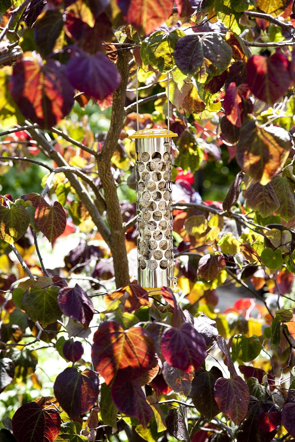 Peckish Daily Goodness Nugget Bird Feeder