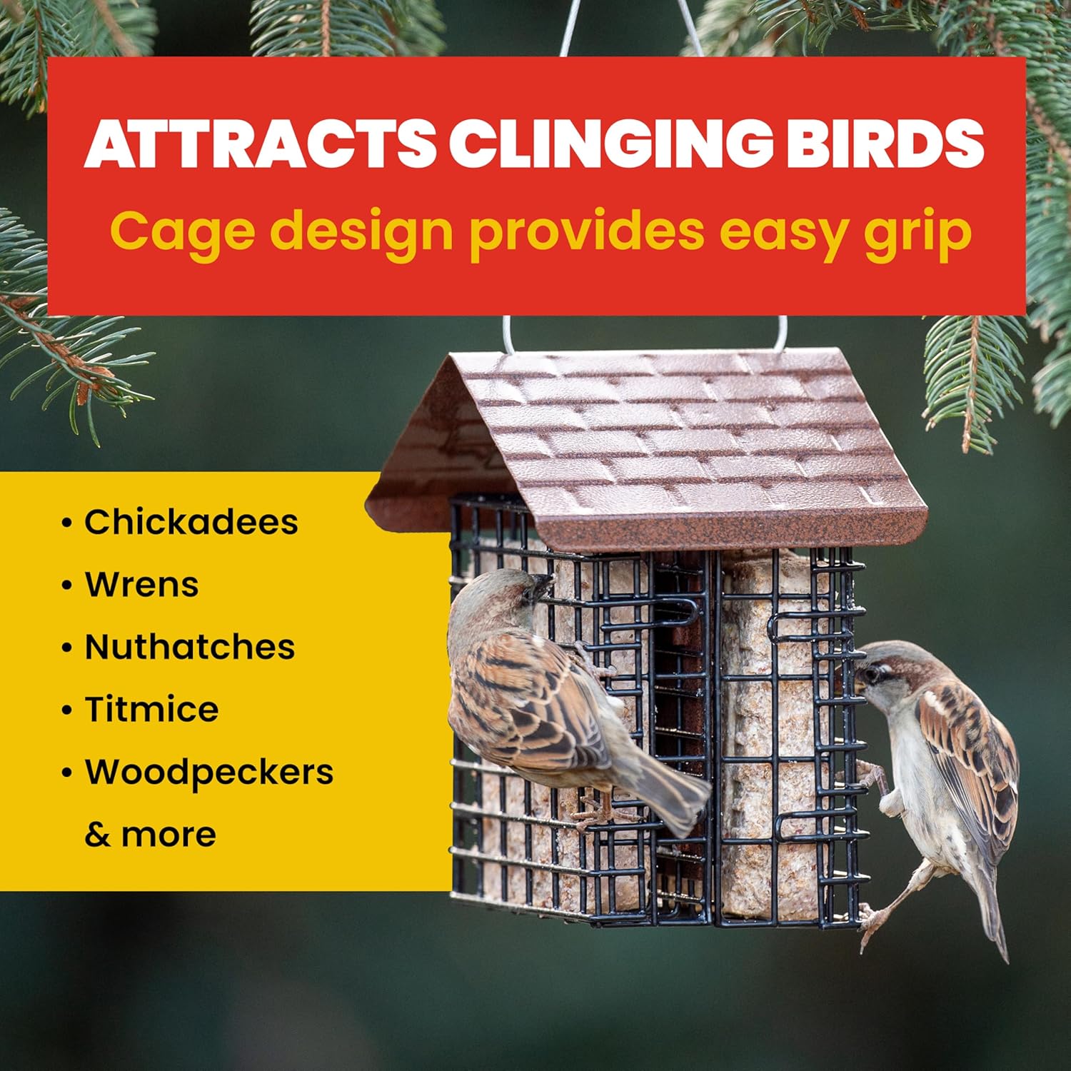 More Birds Double Suet Feeder with Weather Guard, 6.5" L X 4.25" W X 7