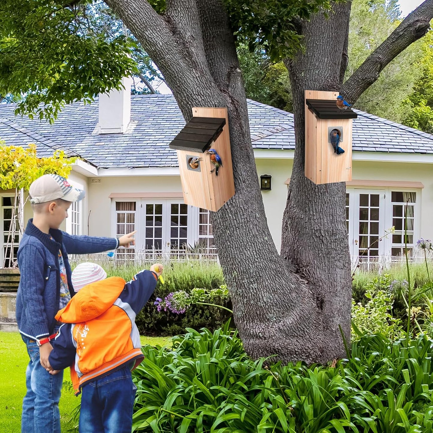 Dreyoo Cedar Bluebird Box Houses for Outside, 1-1/2'' Entrance Hole Wooden Bird Houses with Metal Guard, Secure Latch, Fledgling Grooves, Air Vents for Bluebird Wren Swallow(3 Pack)