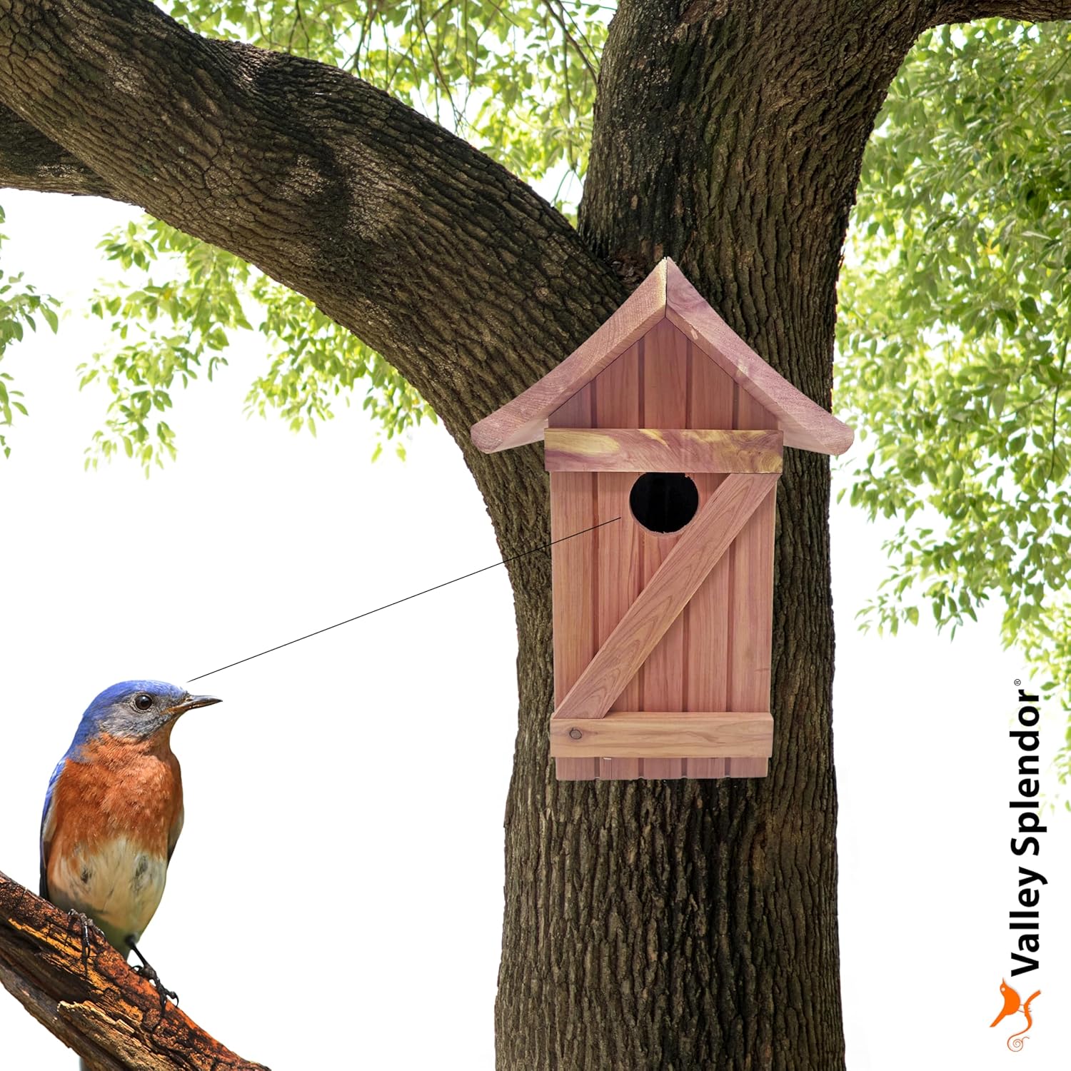Cedar Bluebird House - Made in USA