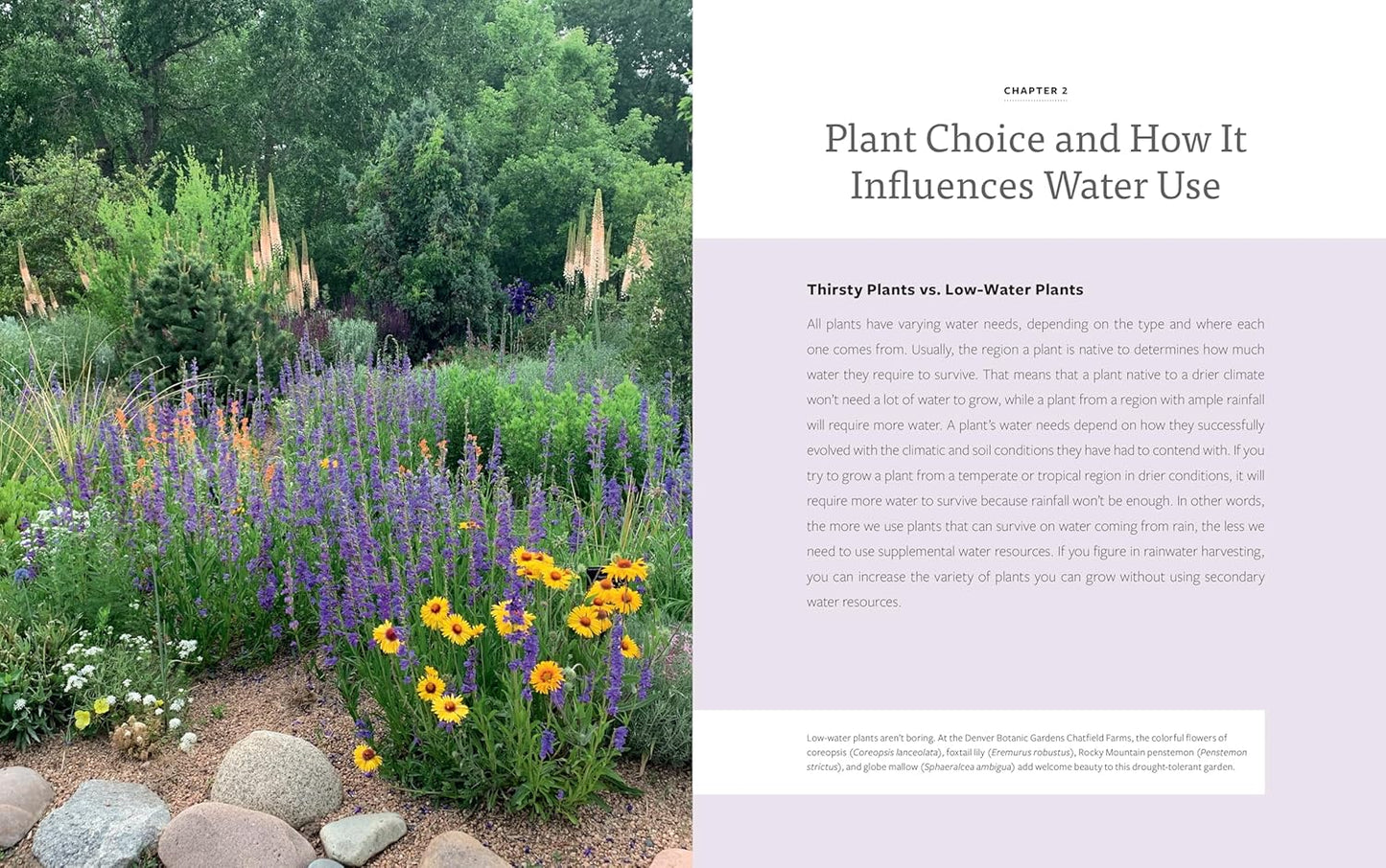 The Water-Smart Garden: Techniques and Strategies for Conserving, Capt