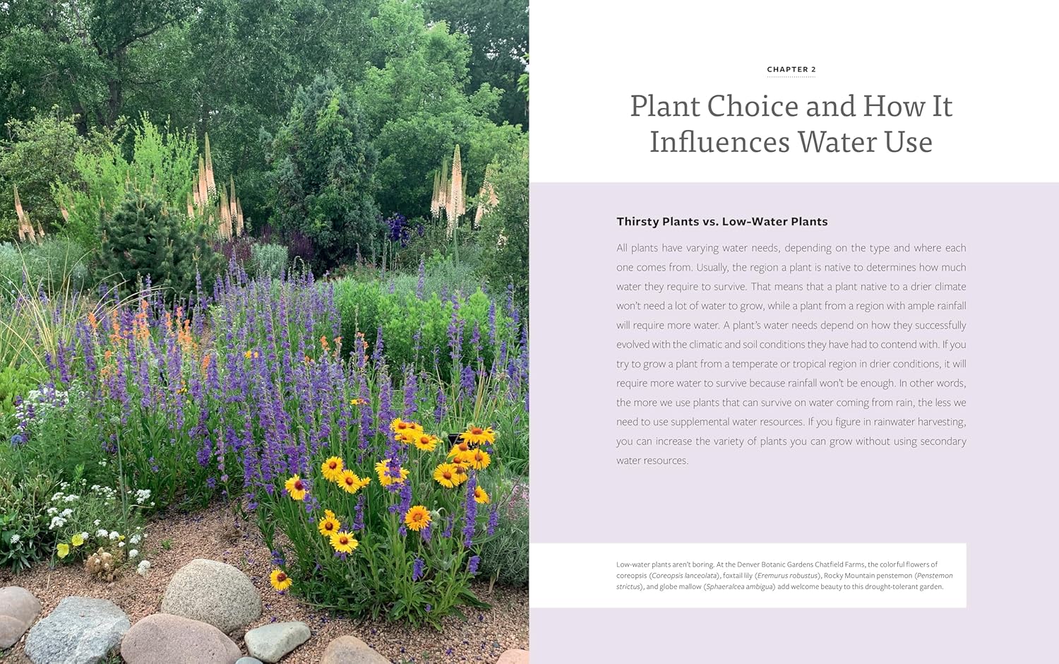 The Water-Smart Garden: Techniques and Strategies for Conserving, Capt