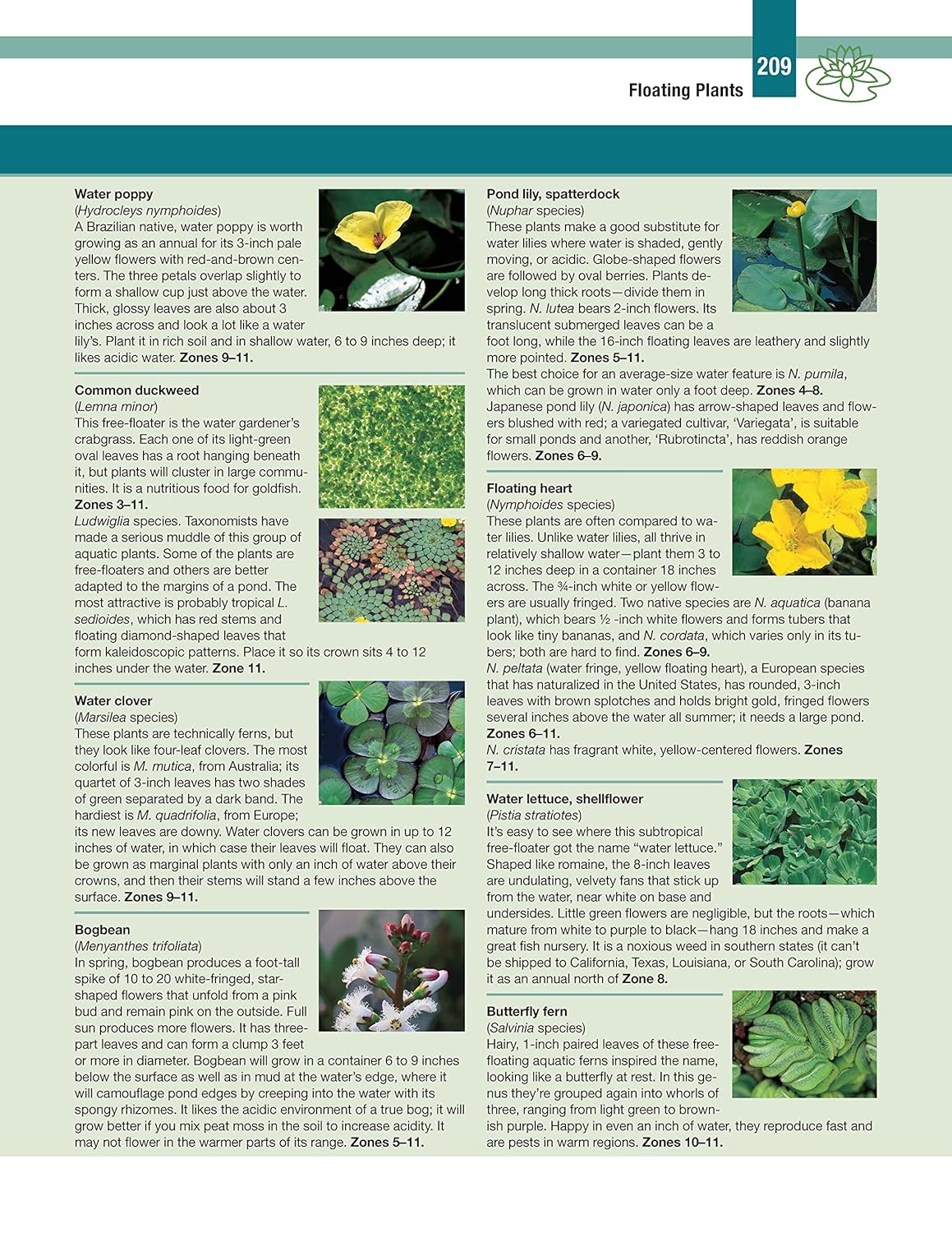 DIY Guide to Ponds, Fountains, Rain Gardens & Water Features, Revised 