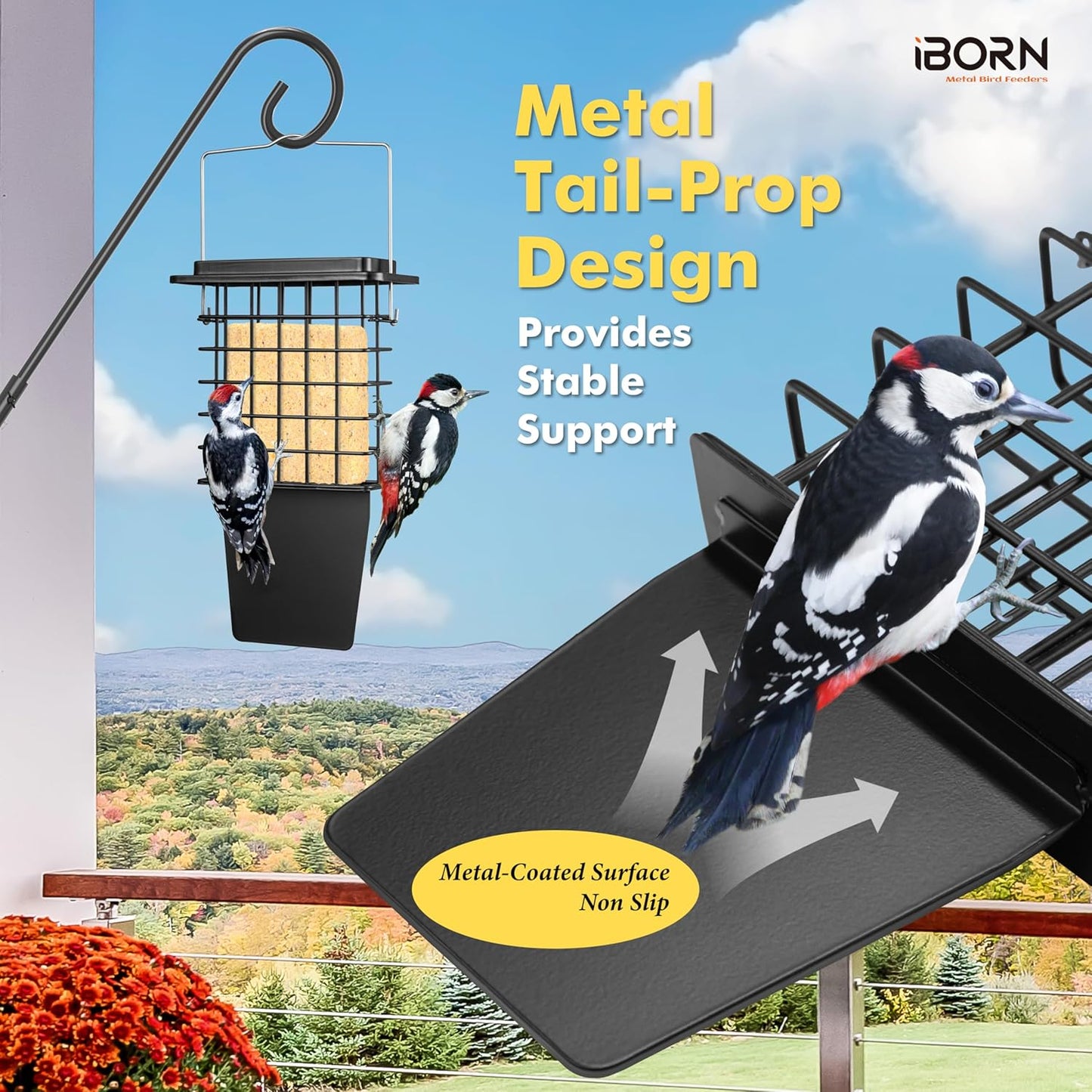 iBorn Metal Suet Feeder with Tail Prop | Durable Suet Cake Cage Bird Feeder for Outdoors，Woodpecker Feeder for Outside Hanging，Heavy-Duty Suet Holder,Easy Clean & Refill,1 Pack,Black
