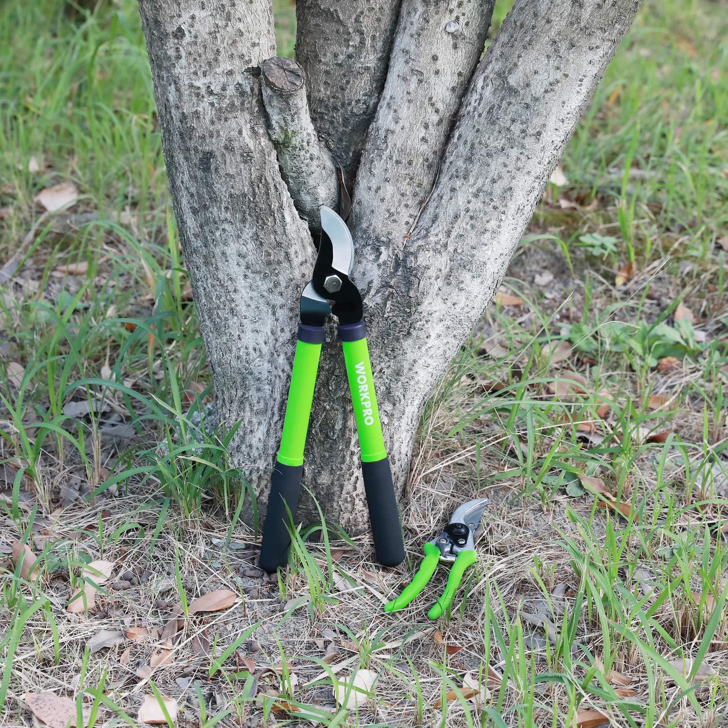 WORKPRO W151010 Limb and Branch Pruner Tool Set, Heat-Treated Steel (1