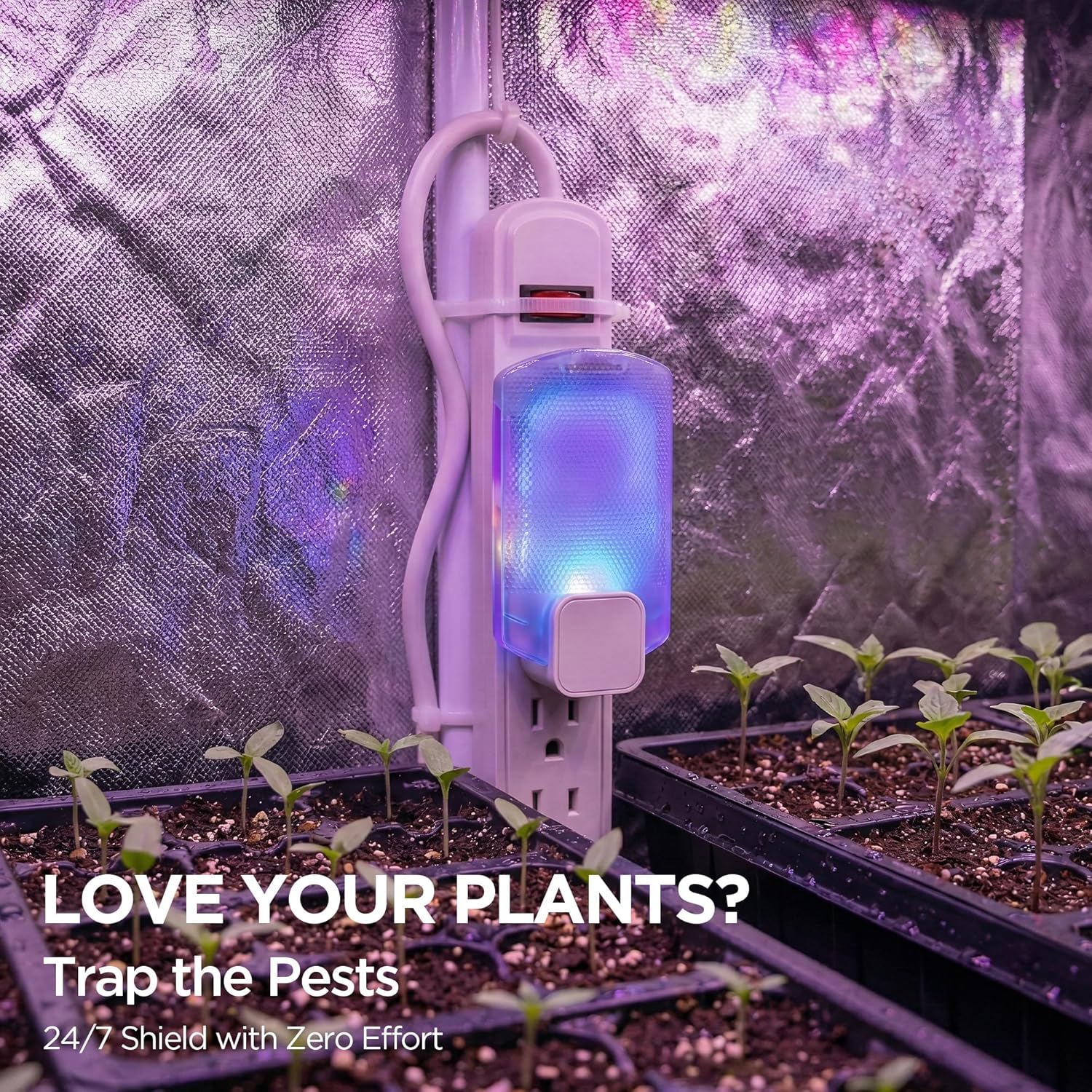 2 Flying Insect Traps+10 Refill Cartridges, 2026 2nd Gen, Fruit Fly Tr