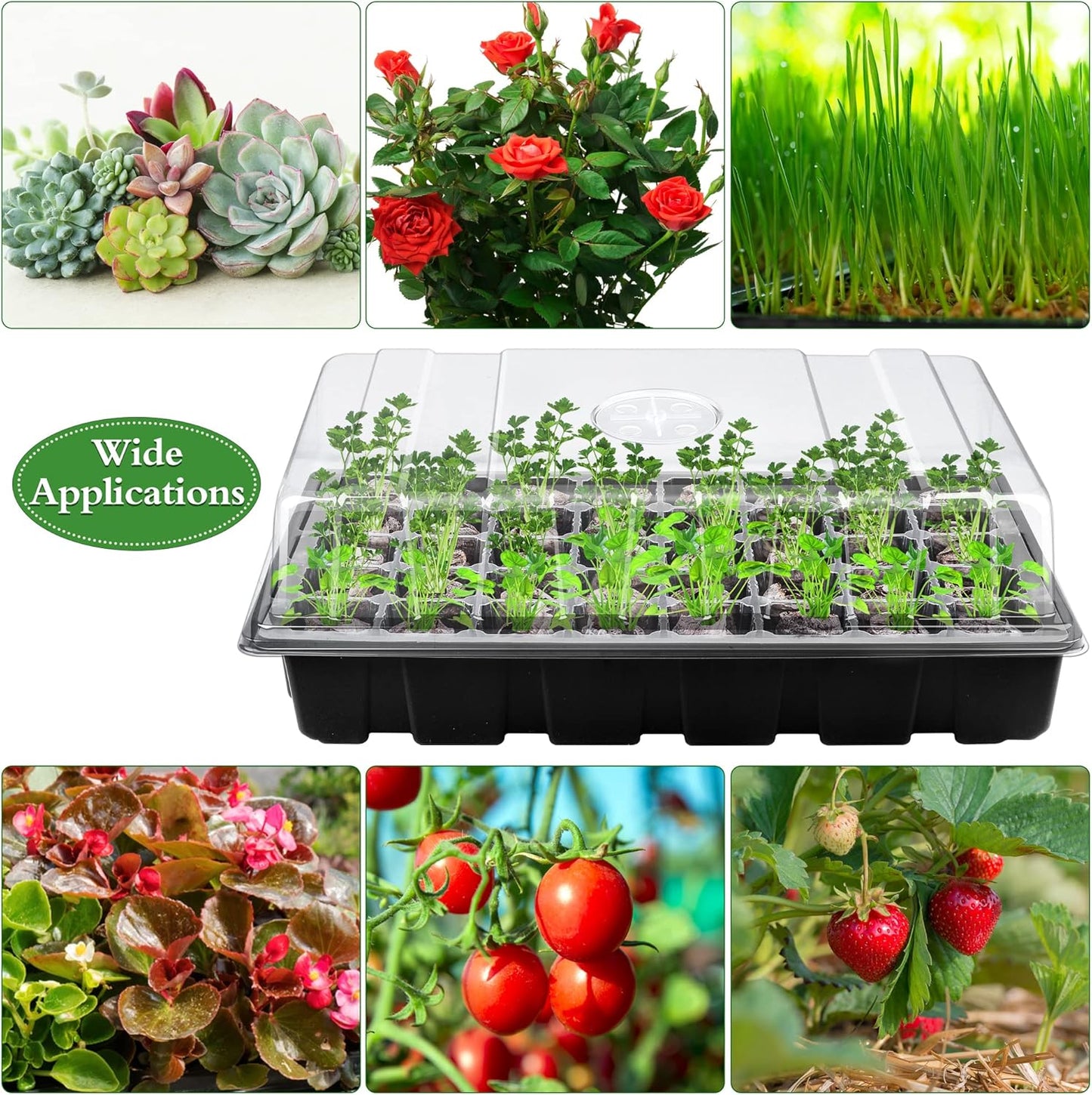 3 Pack Seed Starter Tray Kit 120-Cells Germination Starter Tray with H