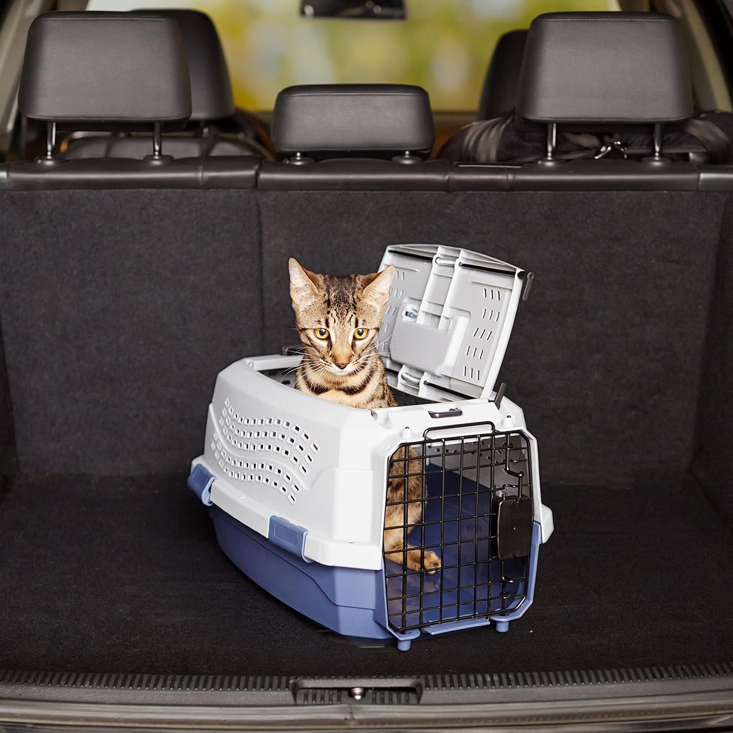 Amazon Basics 2-Door Top-Load Hard-Sided Pet Travel Carrier for Cats a
