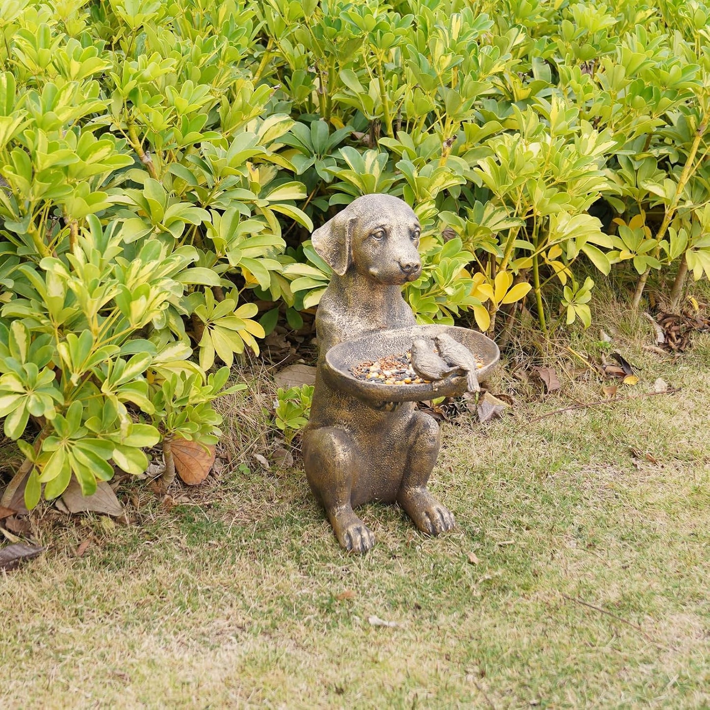 Cynkeyee Outdoor-Statues Garden Decor Bird Bath - Large Dog Statue Bird Feeder Statues for Outside Yard Lawn Patio Gardening Gifts for Women Fairy Garden 15x10x19 Inch (Copper)