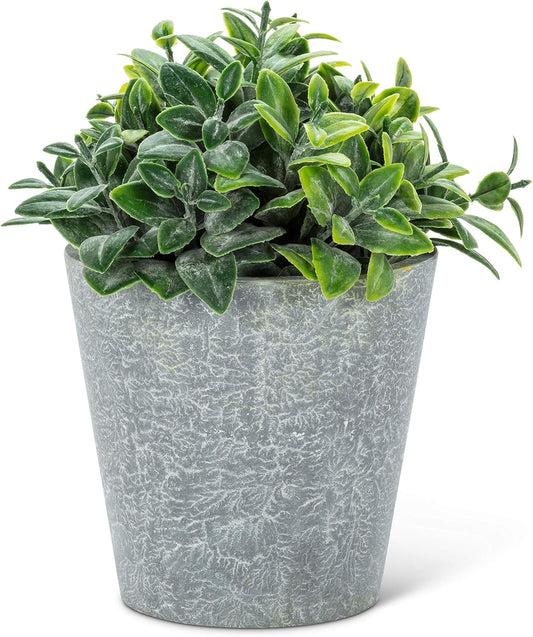 Abbott Collection 27-WOODHILL-06 Frosted Leaf Plant Pot-6" H, Multi Co
