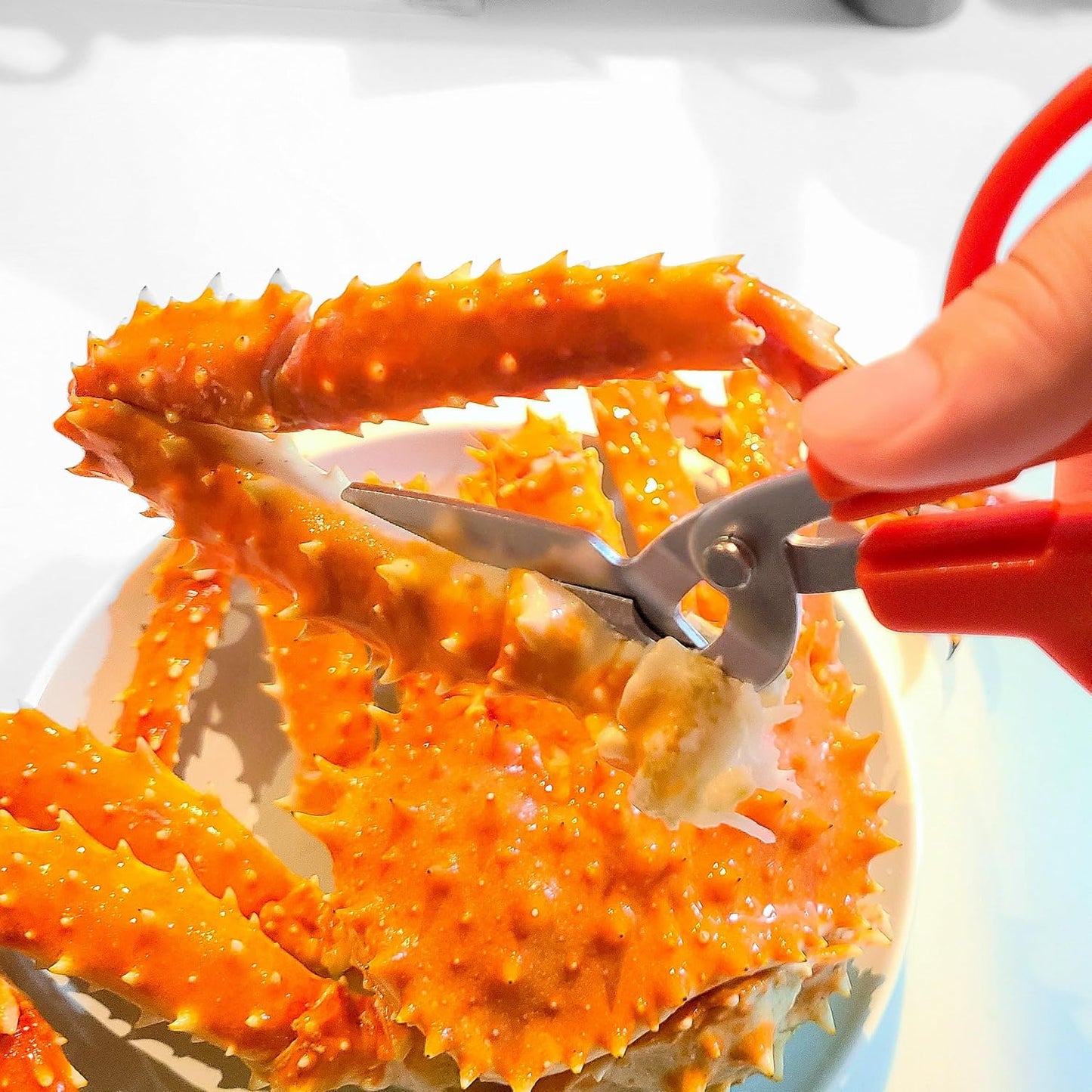 CANARY Crab Scissors Heavy Duty 6.7", Made in JAPAN, Seafood Scissors 