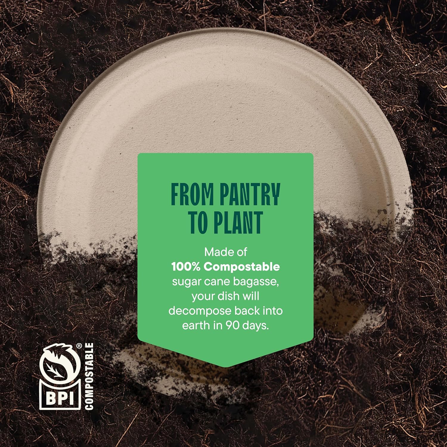 Paper Plates, 100% Compostable Heavy Duty Disposable 10 Inch Plate - [