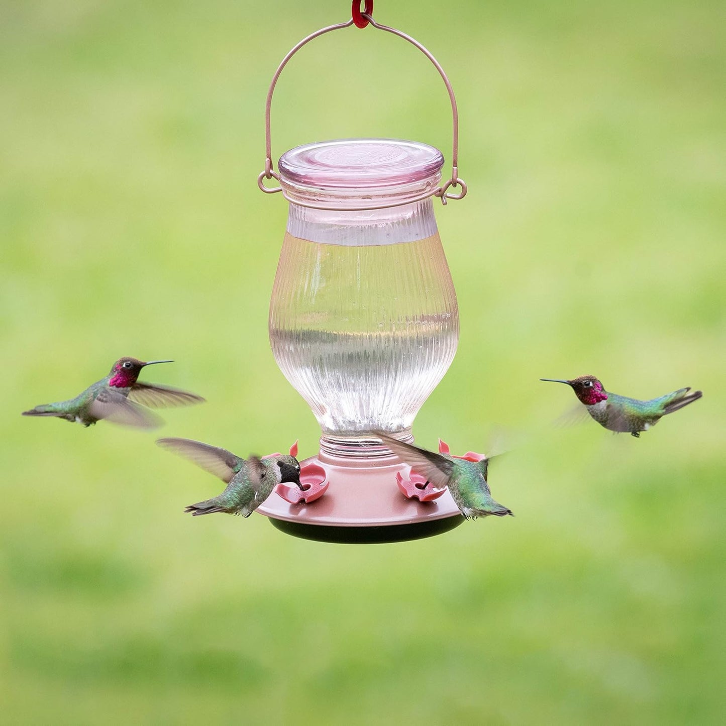 Perky-Pet 9104-2 Rose Gold Top-Fill Glass Hummingbird Feeder Rose Gold 24 oz Capacity