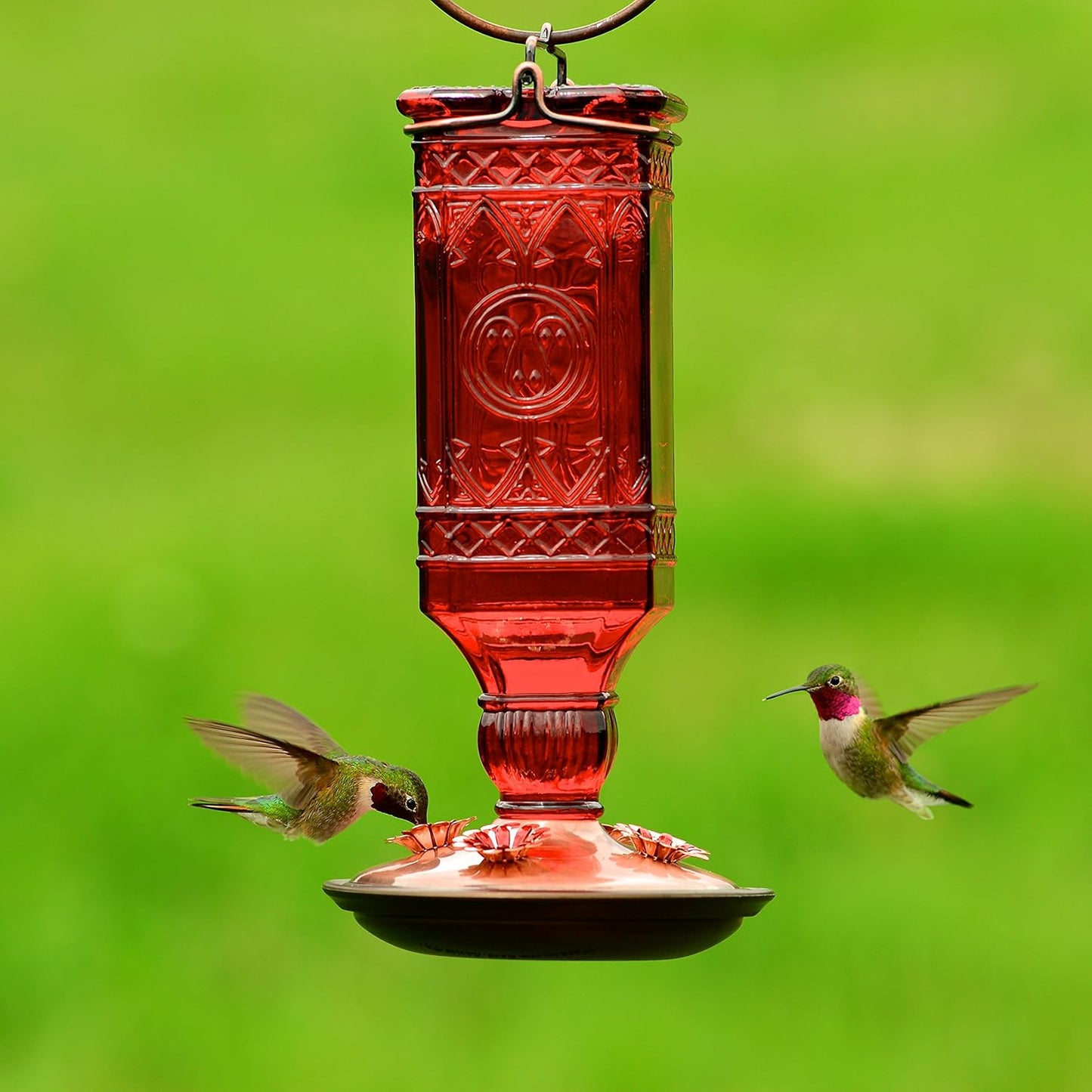 Perky-Pet Red Square Antique Bottle Glass Hummingbird Feeder - Humming Bird Feeders for Outdoor Garden Decor - 24 Oz Nectar Capacity - 8116-2